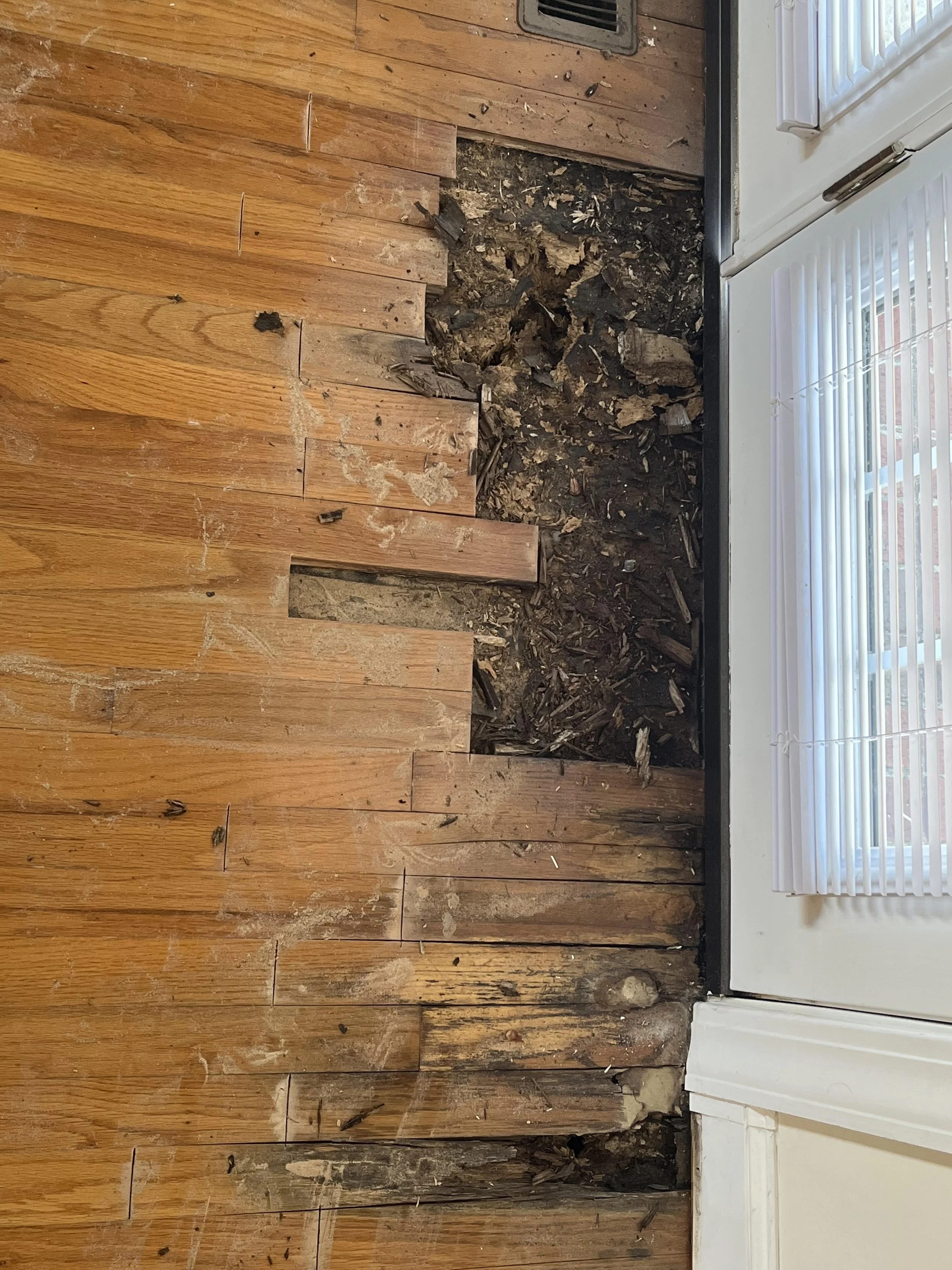 Photo of a wooden floor with a section of damaged and removed flooring, exposing the subfloor beneath, next to a doorway with white blinds covering a window.