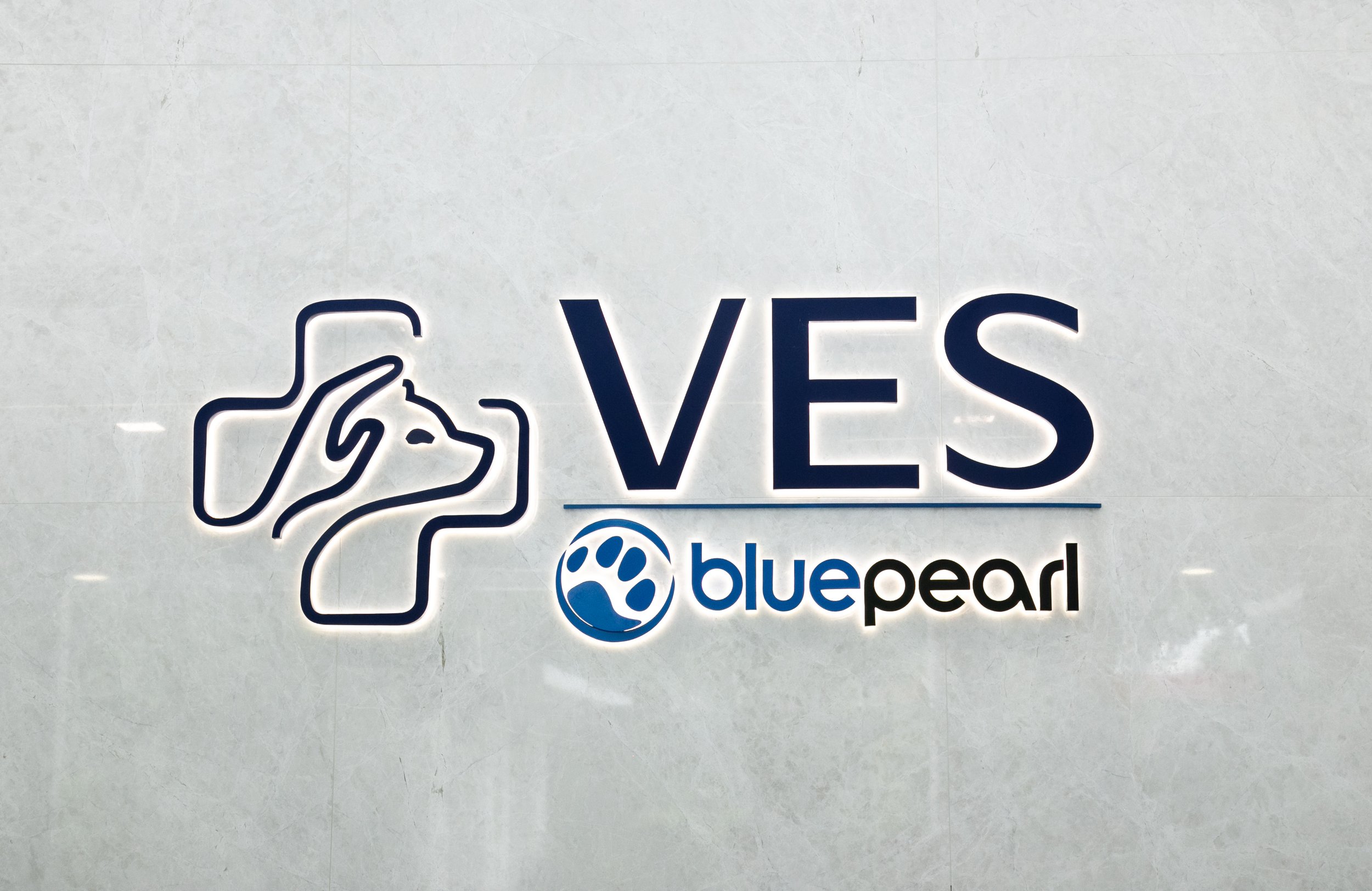 interior design3.jpg