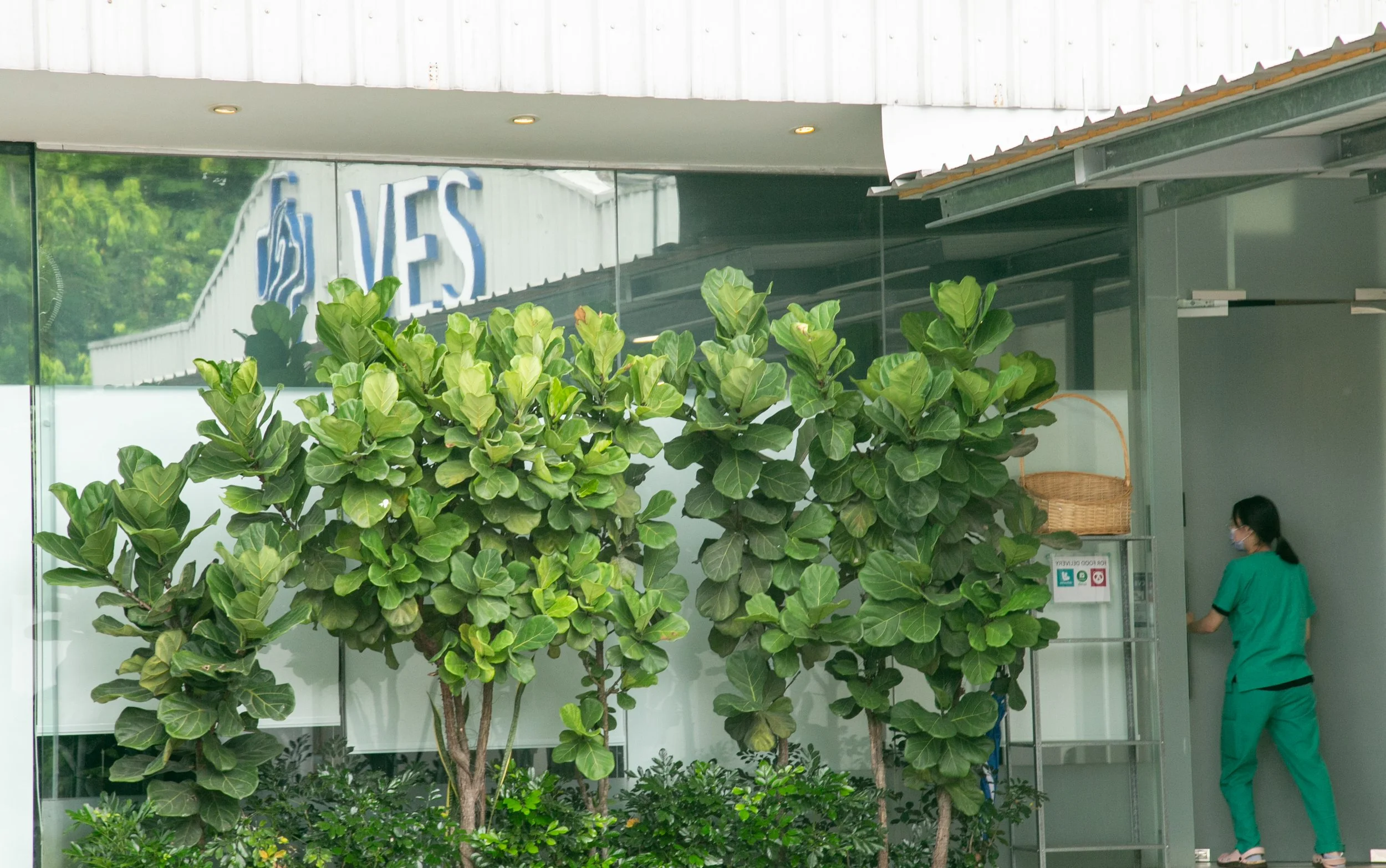 interior design10.jpg