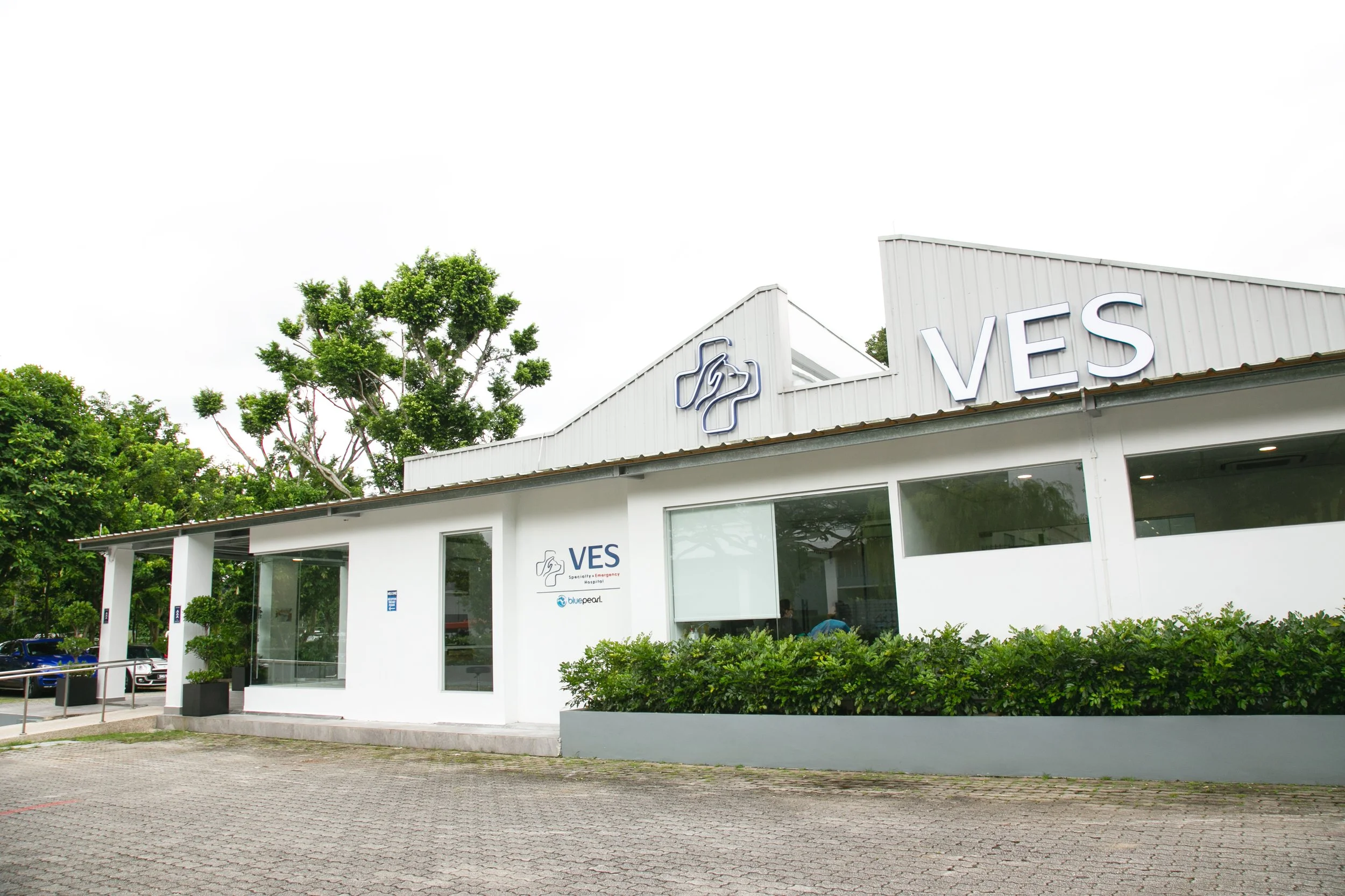 interior design11.jpg