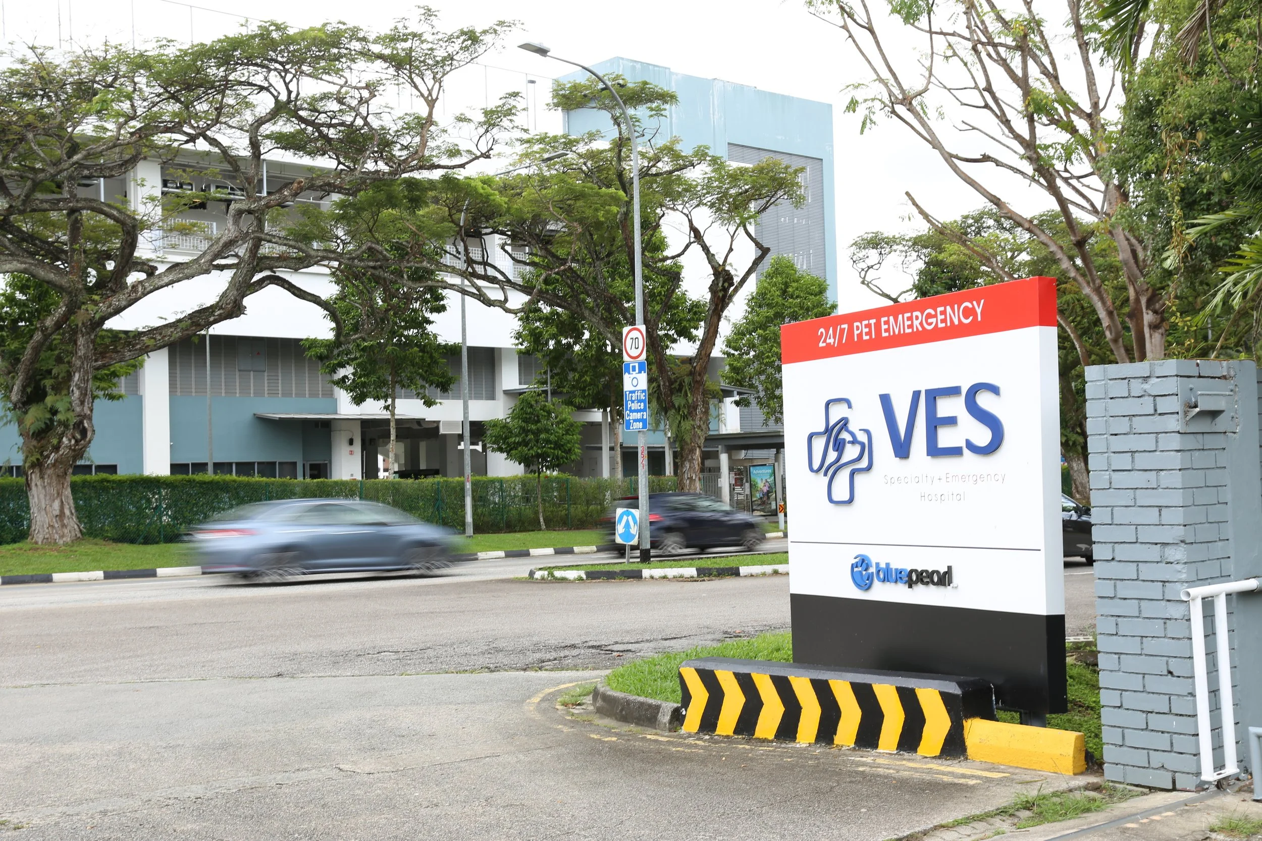 interior design12.JPG