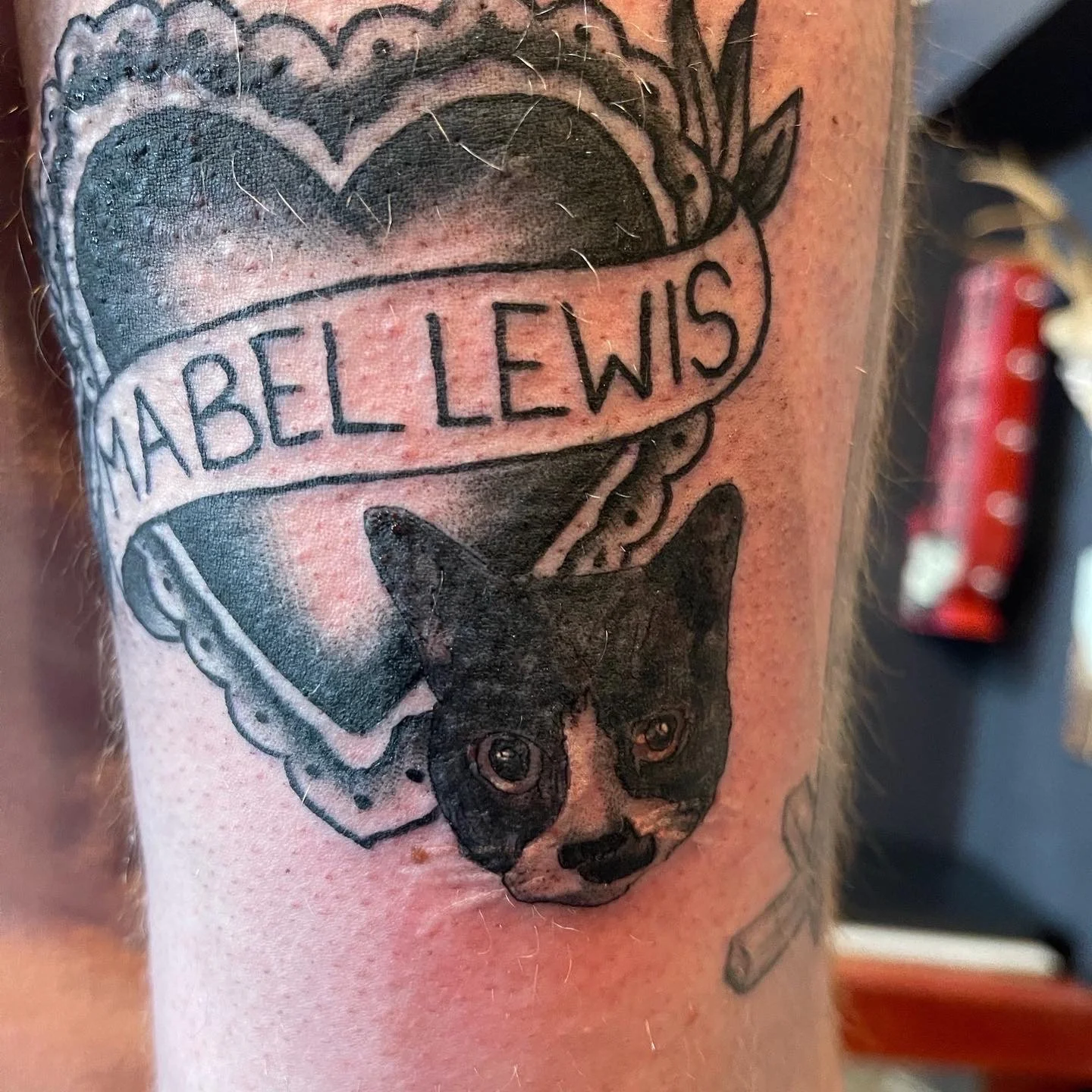 Tattoo of a heart with a banner reading 'Mabel Lewis' and a detailed black and gray portrait of a dog, possibly a Chihuahua, beneath the heart. The tattoo is on a person's arm.