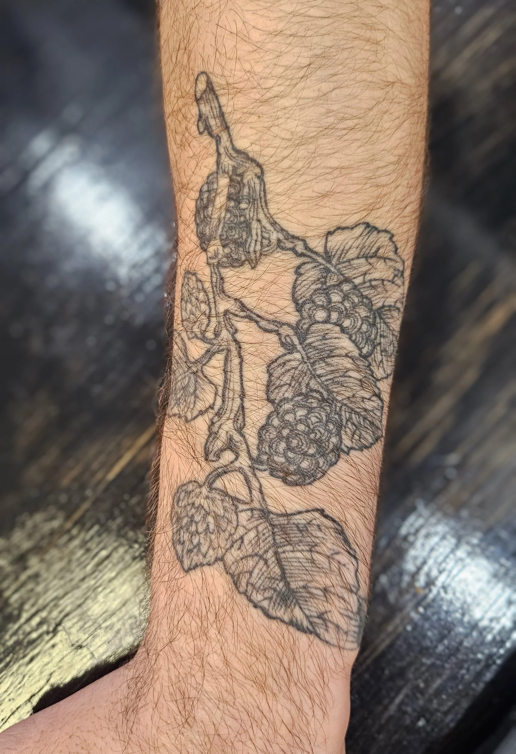 A black and gray tattoo of a blackberry plant with leaves and berries on a person's forearm.
