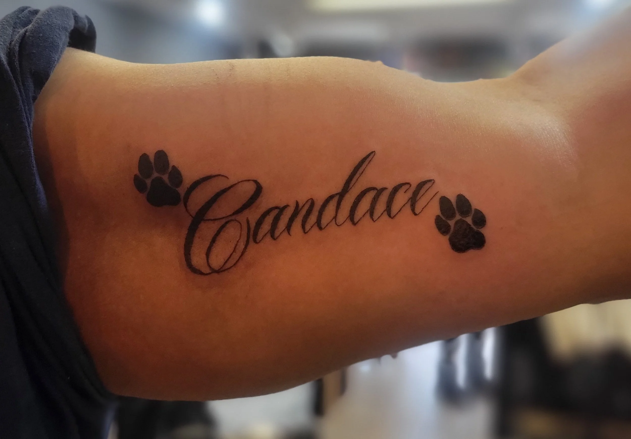 Tattoo on forearm with the word 'Candal' in cursive font, flanked by two black paw prints.