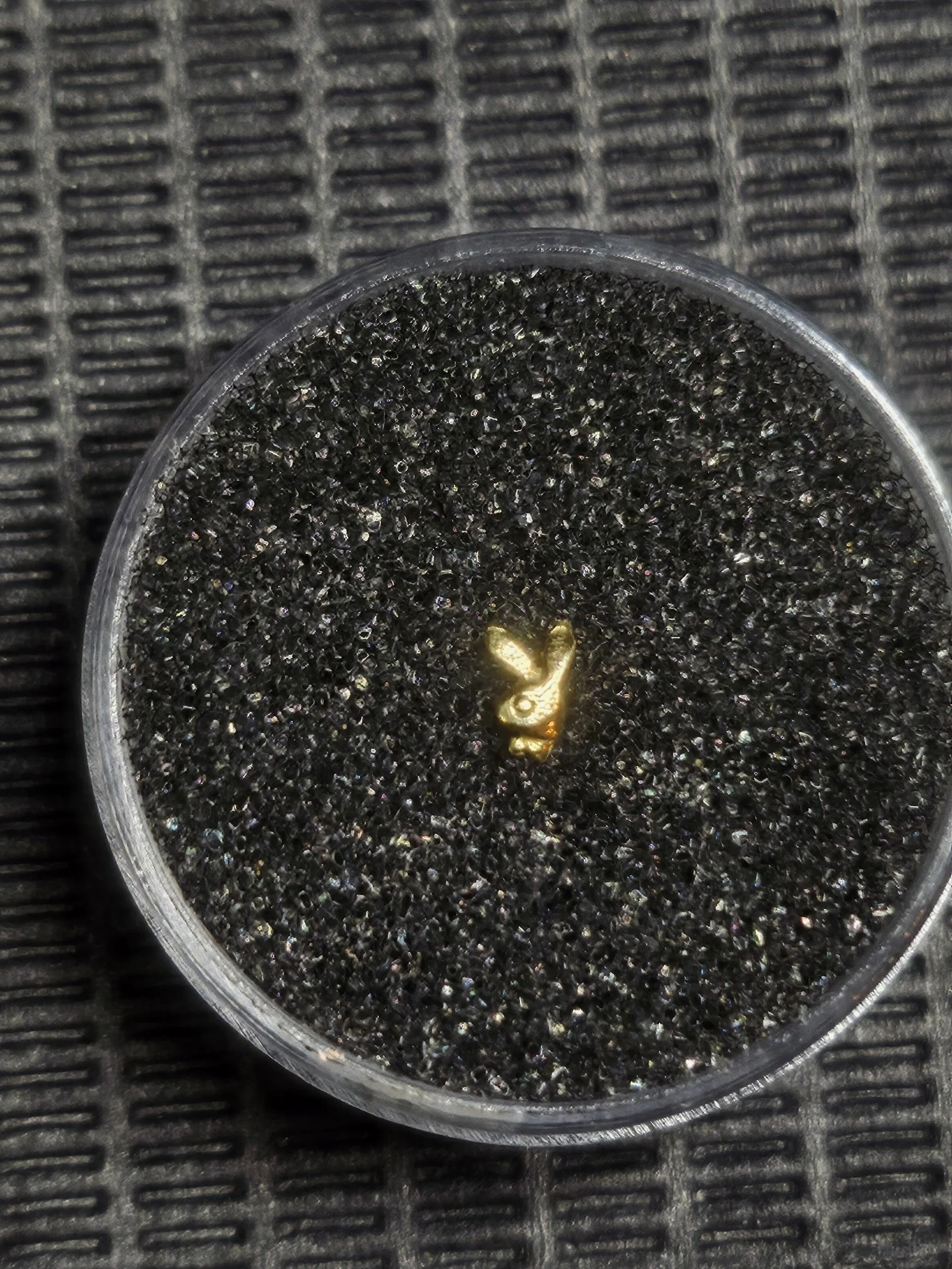 A small golden bunny-shaped object embedded in black and shiny granular material within a clear circular container, placed on a textured black surface.