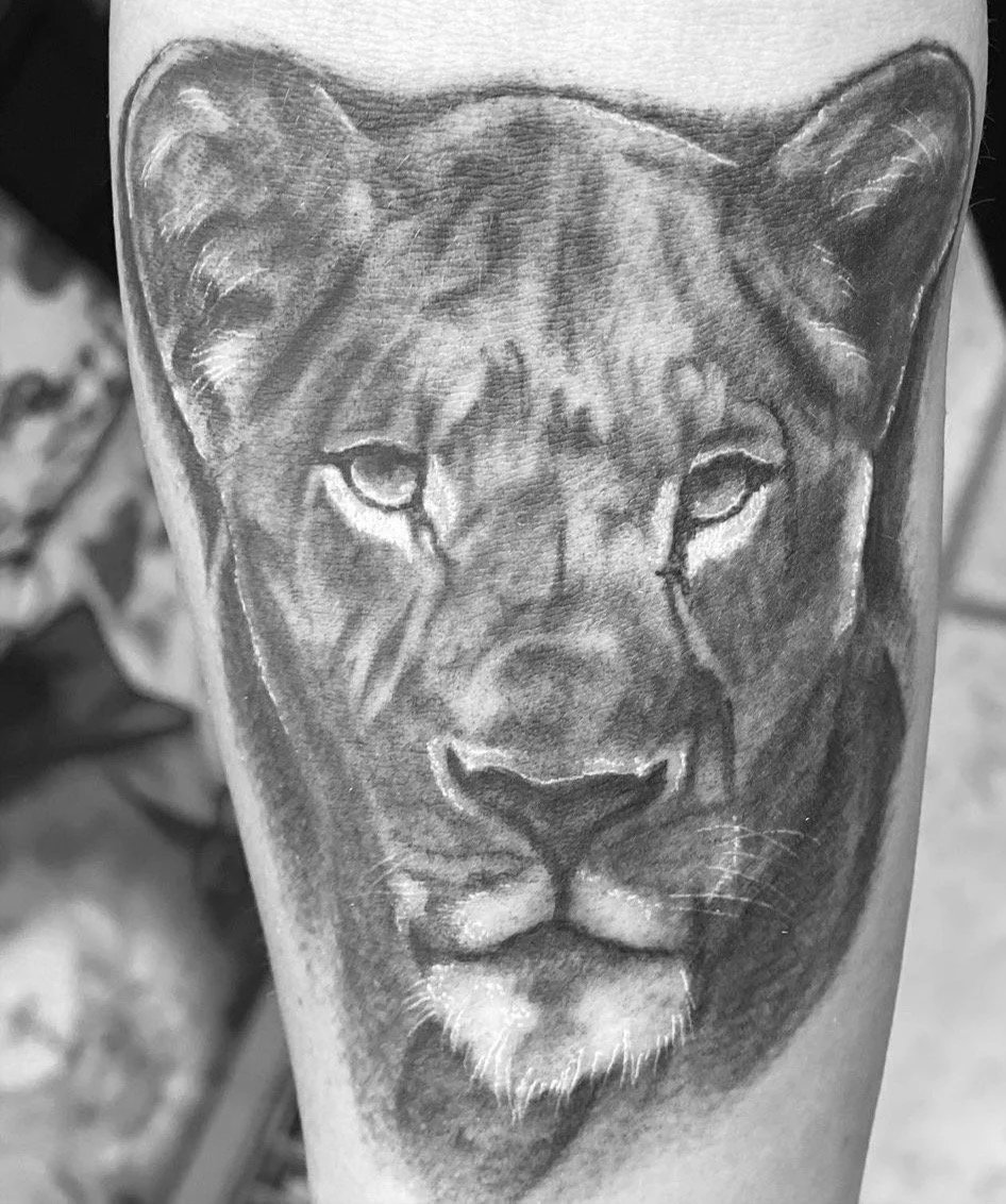 Black and gray tattoo of a lioness's face on a person's arm.