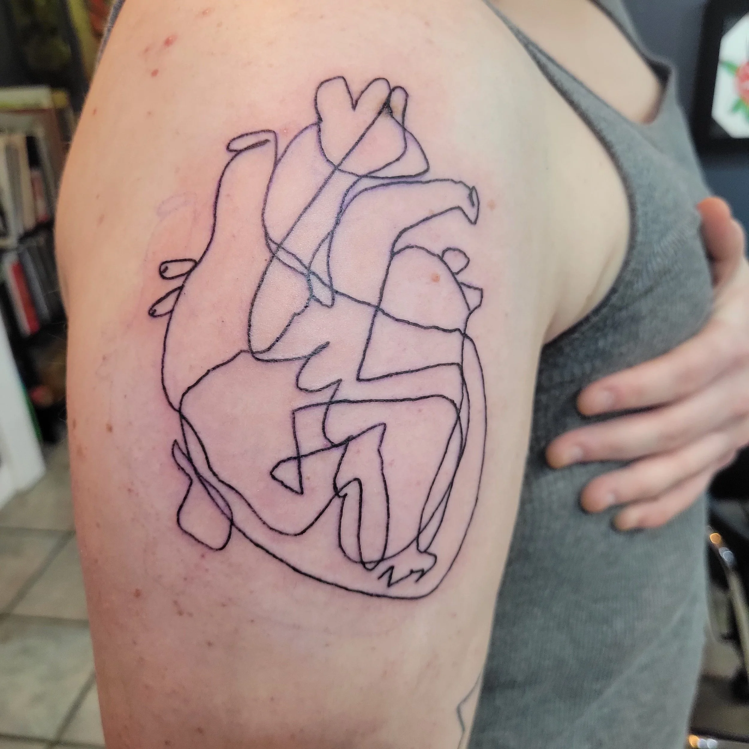 A fresh tattoo outline of a continuous line drawing of an anatomical heart on a person's upper arm.