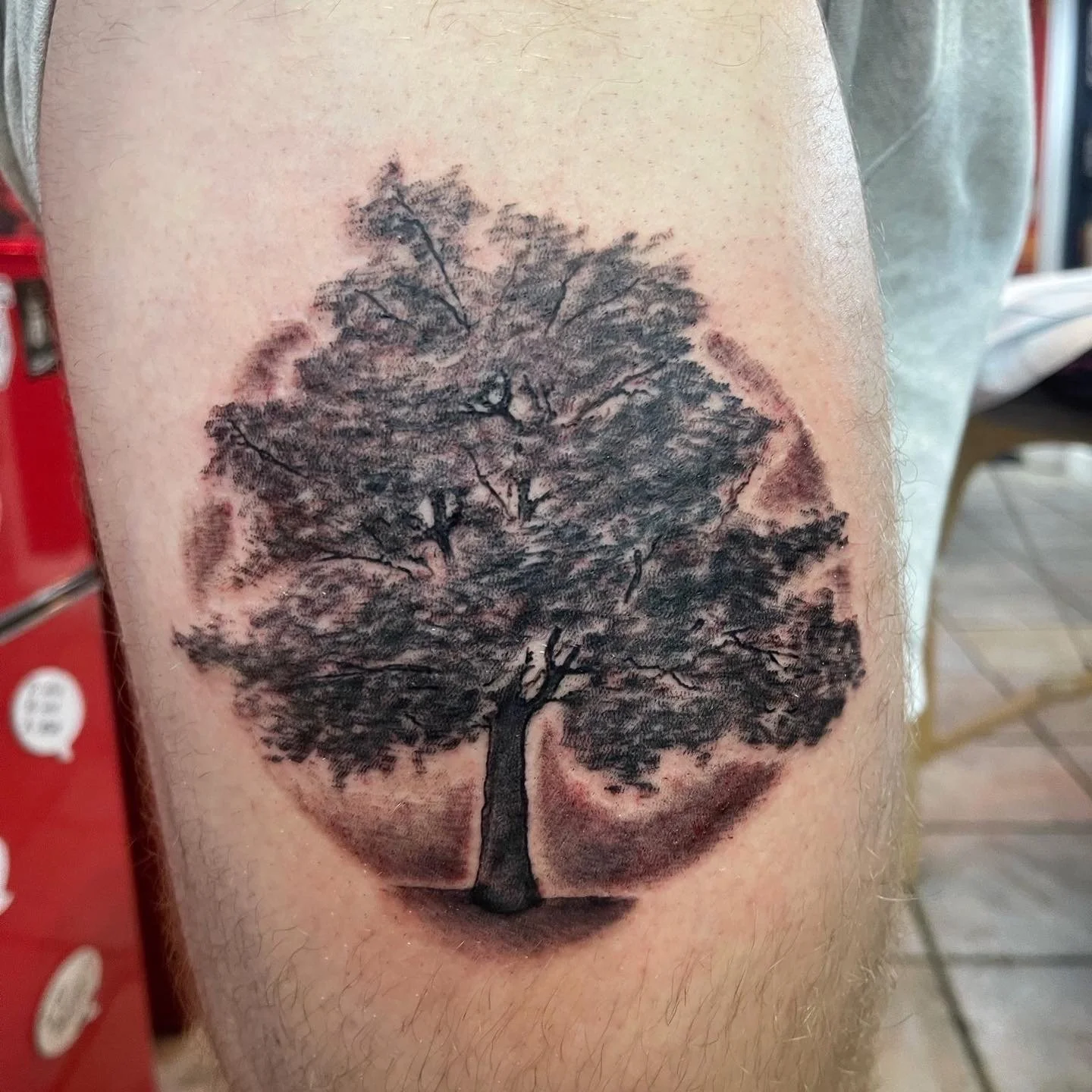 A black and gray tattoo of a large tree on a person's upper arm, with detailed branches and leaves.