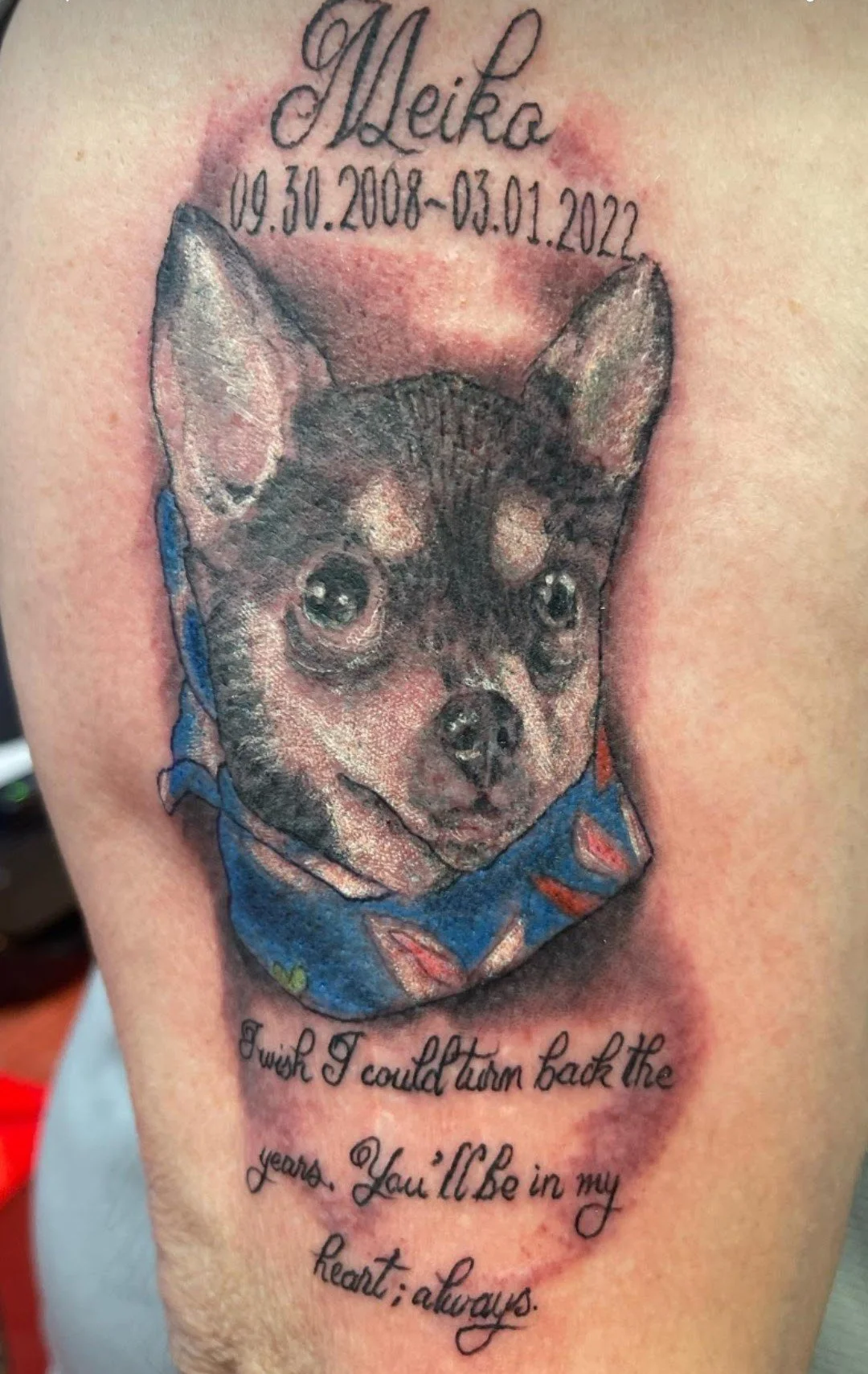 Tattoo of a dog’s face, with the name 'Meiko' and dates, with a heartfelt message beneath that says, 'I wish I could turn back the years. You'll be in my heart always.'