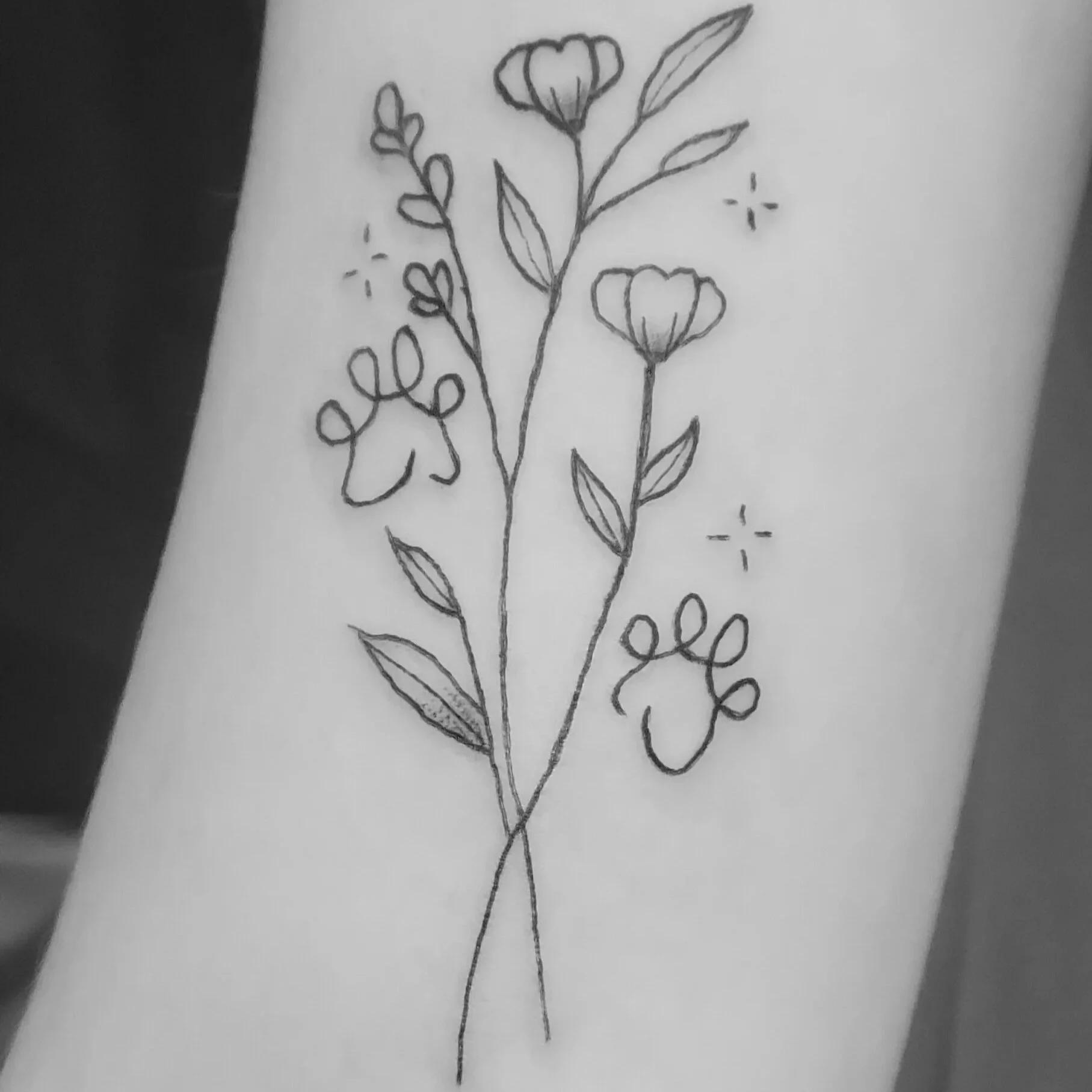 A black and white drawing of flowers, leaves, and small star-like decorations on paper.