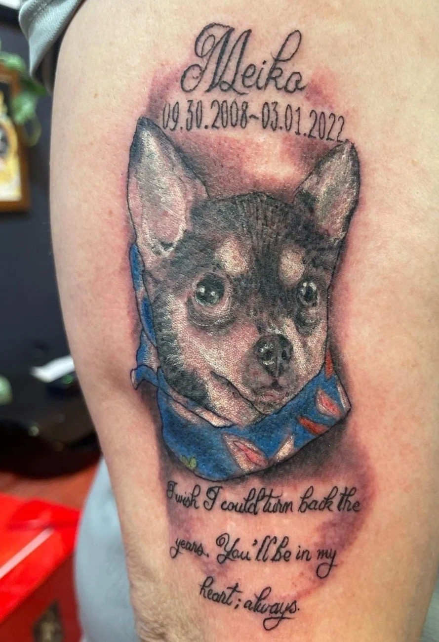 Tattoo of a dog's face, possibly a Chihuahua, wearing a blue bandana. The tattoo includes the name 'Meiko', dates '19.30.2008-03.01.2022', and a heartfelt message.