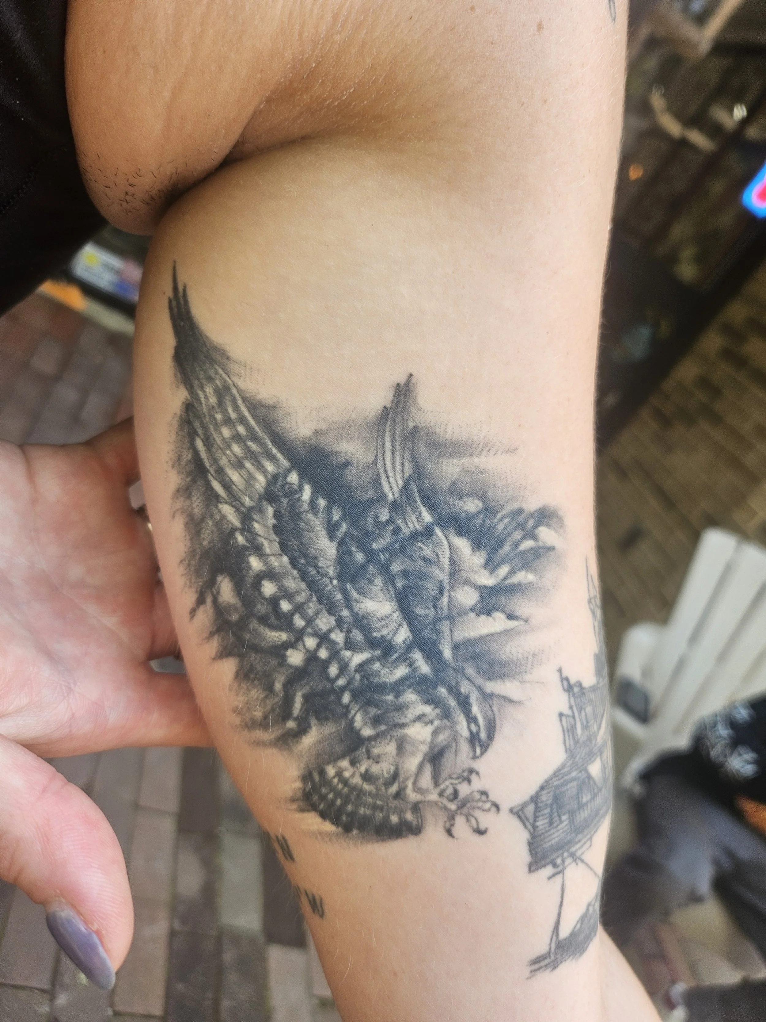 A black and grey tattoo of a butterfly with detailed wings on a person's upper arm.