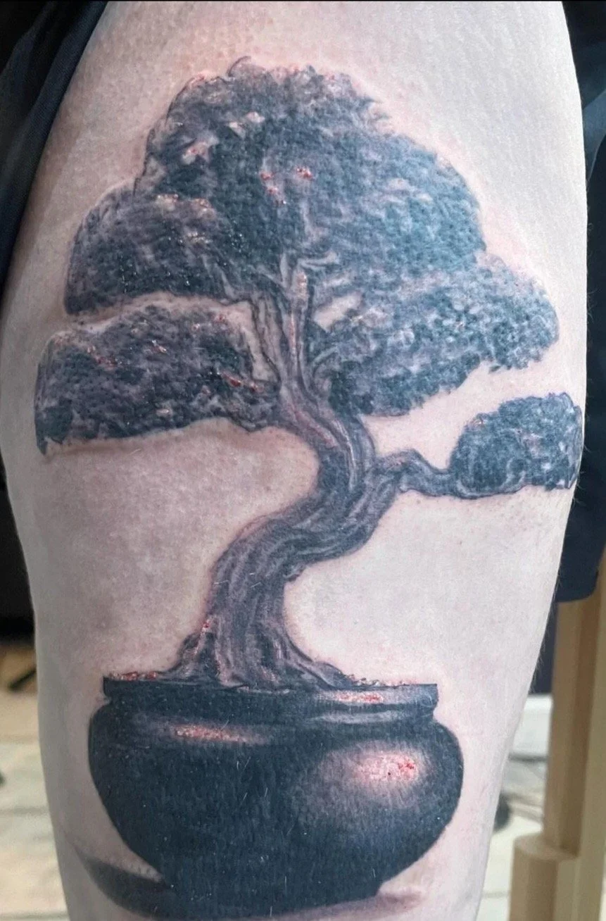 A tattoo of a bonsai tree in a pot on someone's upper arm.