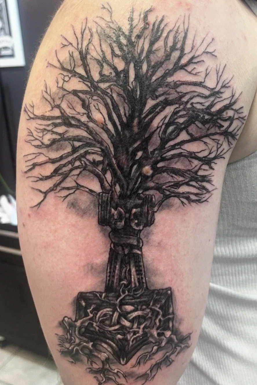 A black and gray tattoo of a tree growing from an open anchor, with detailed branches extending upward and roots downward.