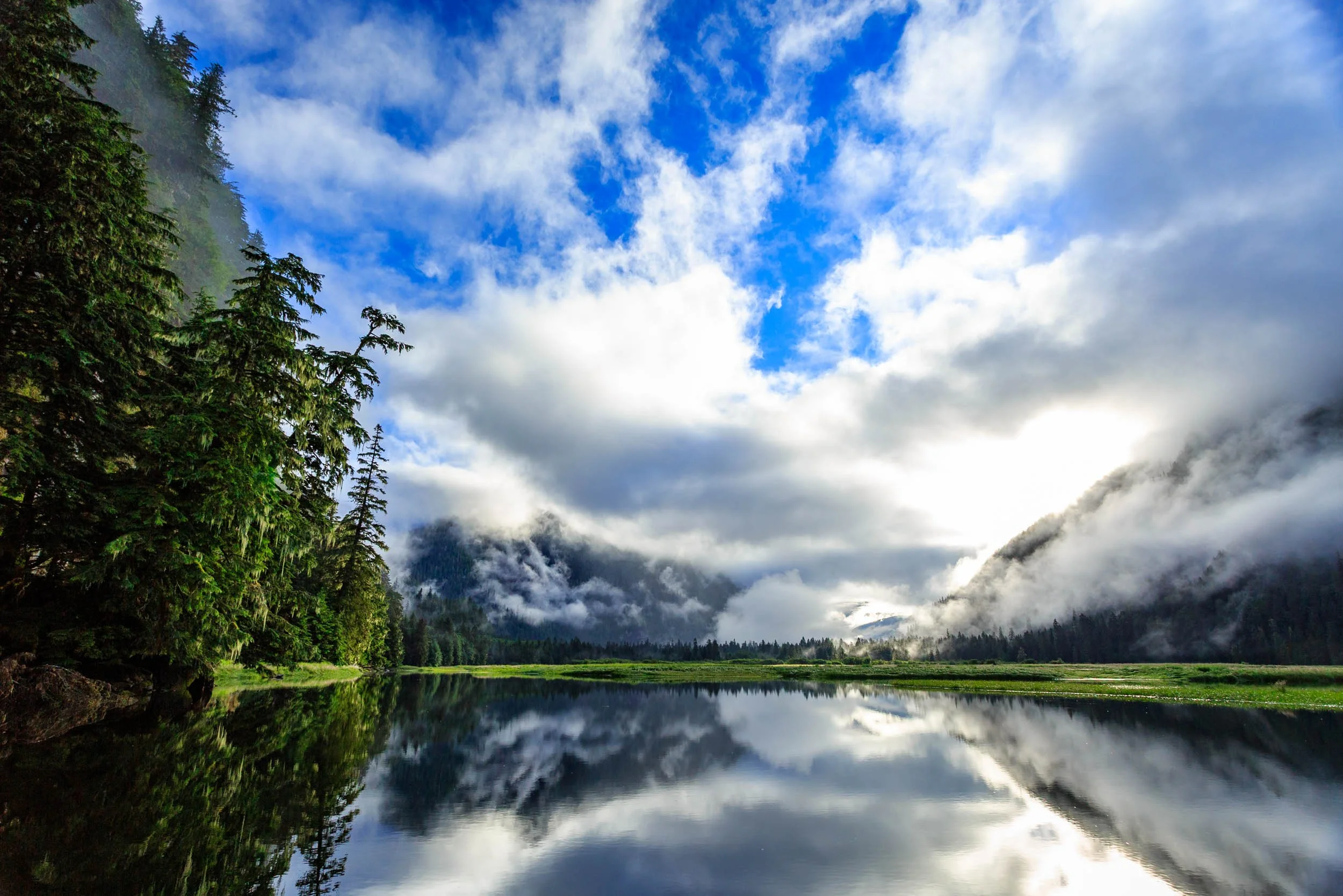 Landscape I