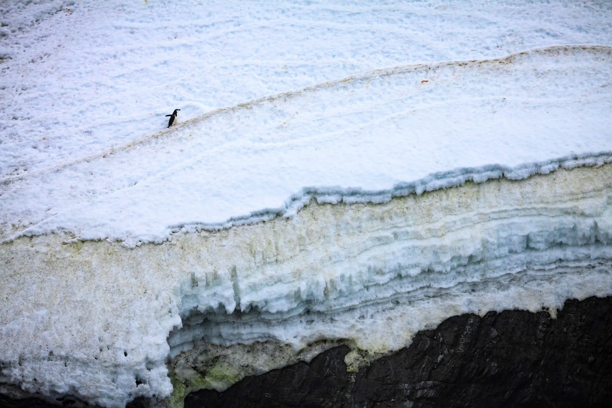 Antarctic Landscape II