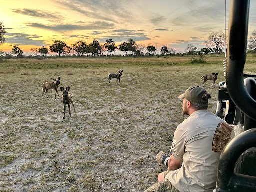 Photograph - Yannick observing and photographing a family of African Wild Dogs, or Painted Wolves, Okavankgo Delta, Botswana
