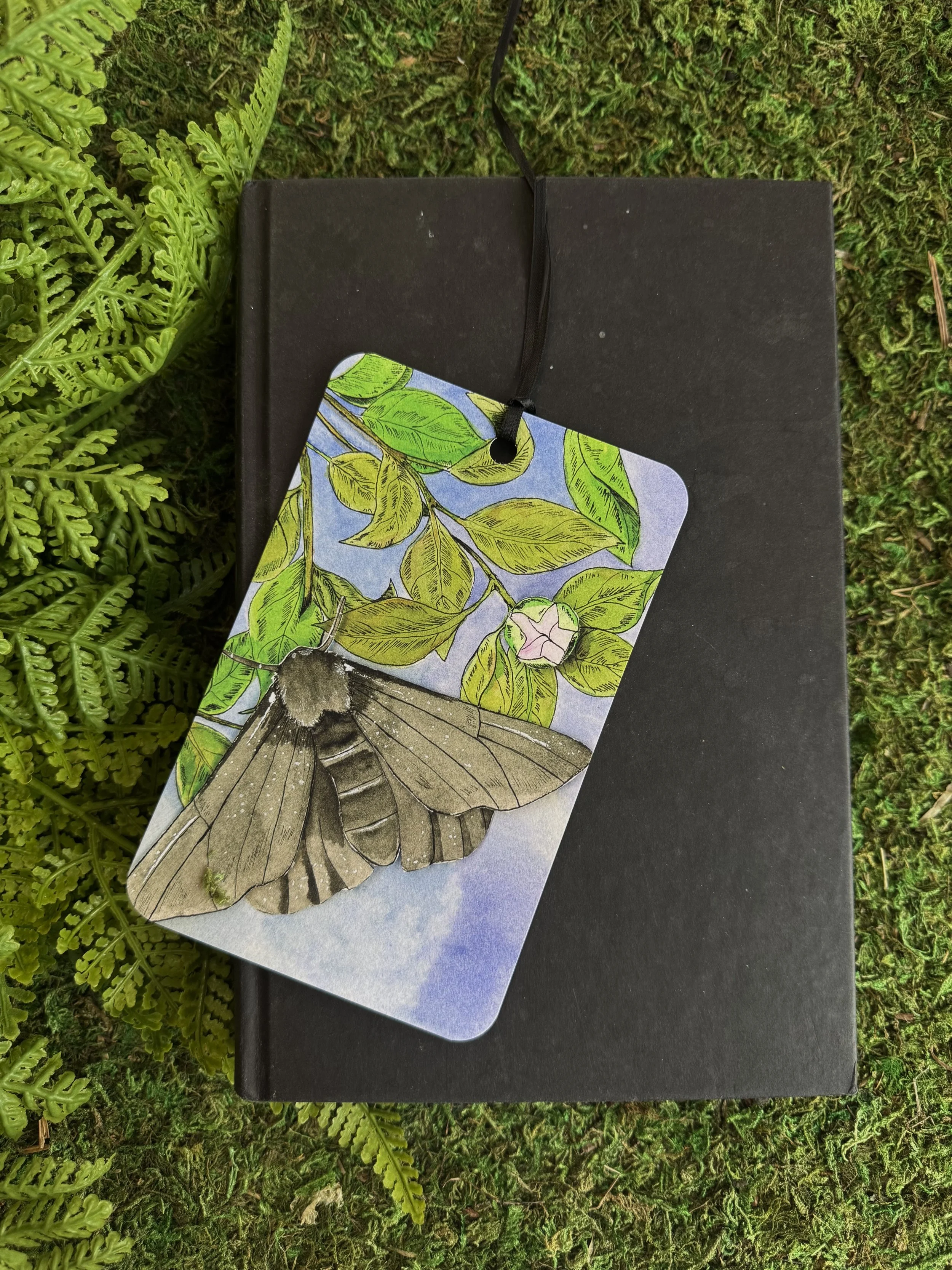 BOOKMARK Black moth