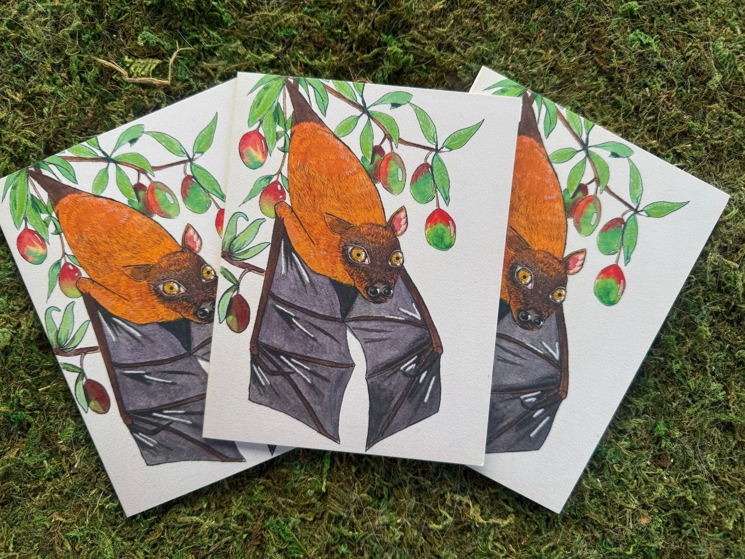 NOTE CARDS Brown Bat