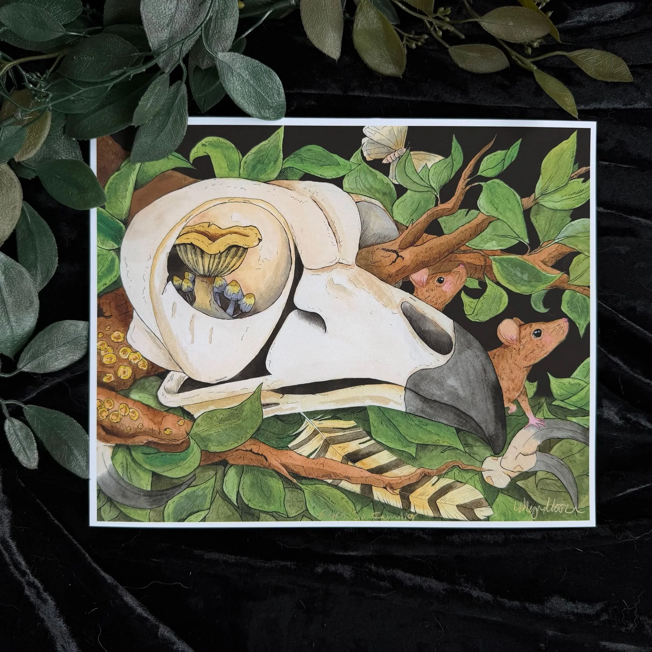 Eyes so Familiar Print