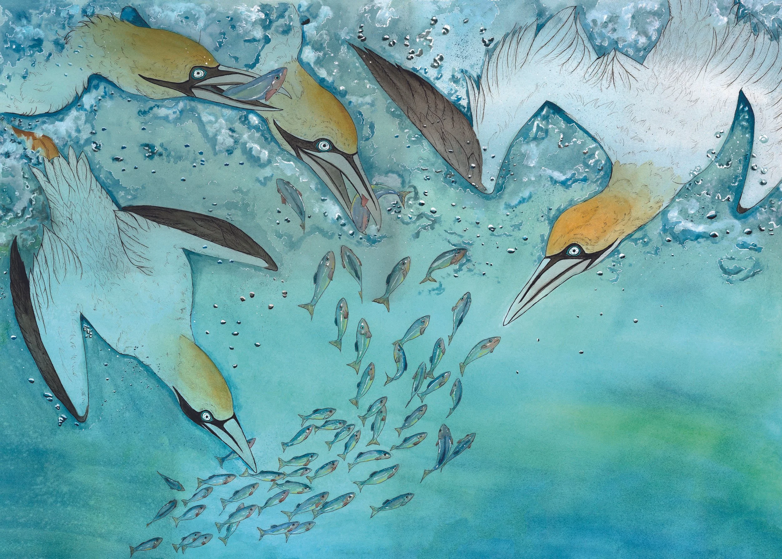 "High Diving" Original painting