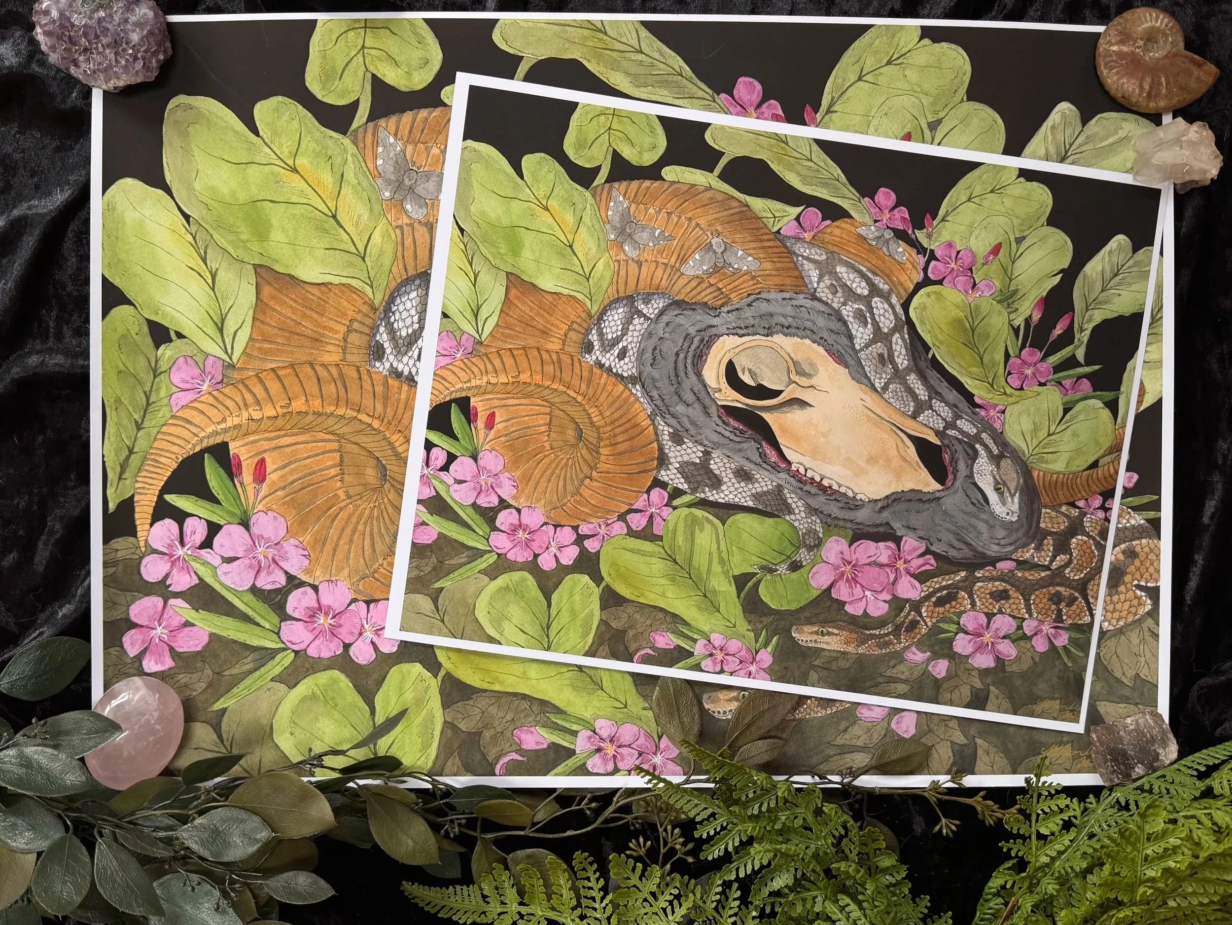 PRINT: Forest Decay