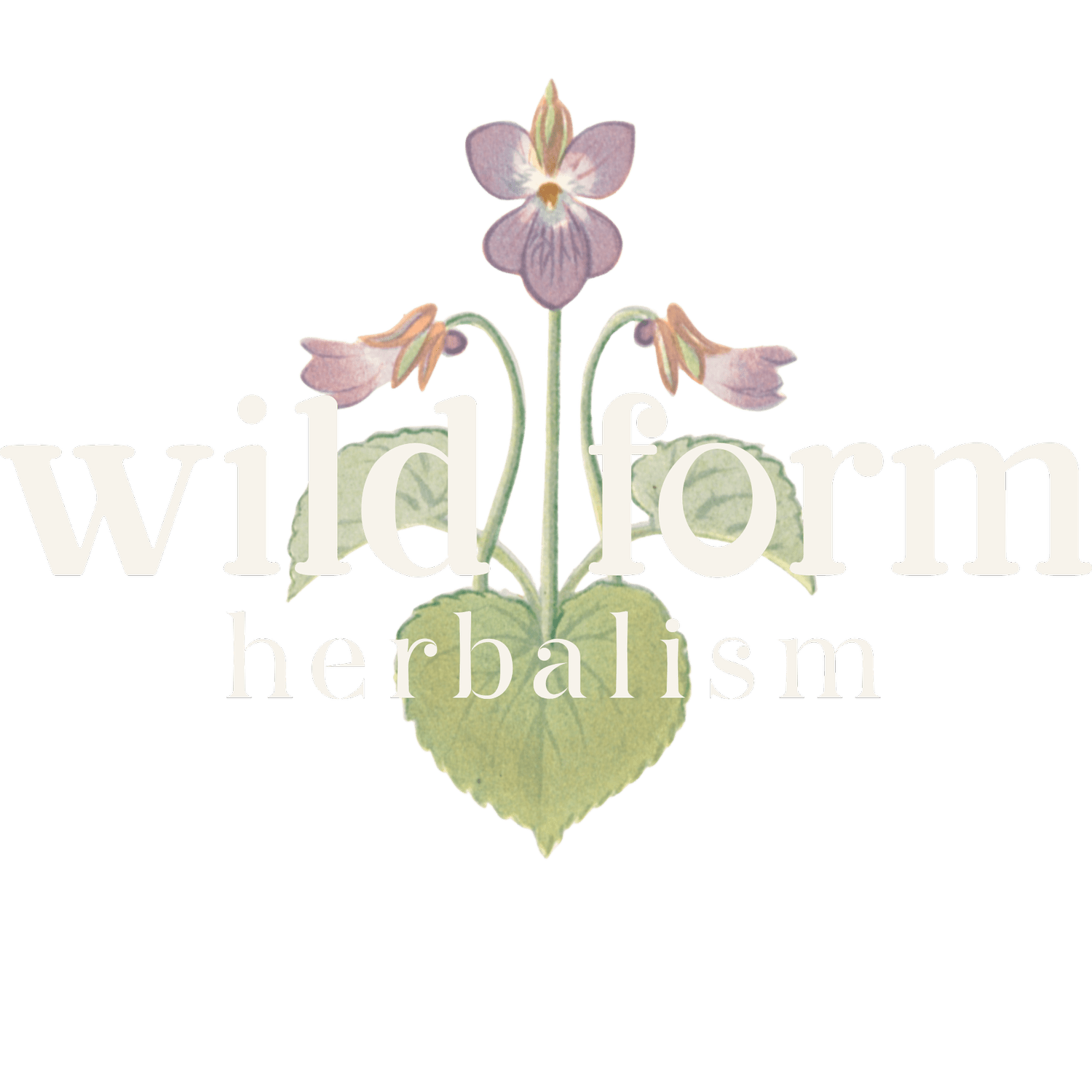 wild form herbalism