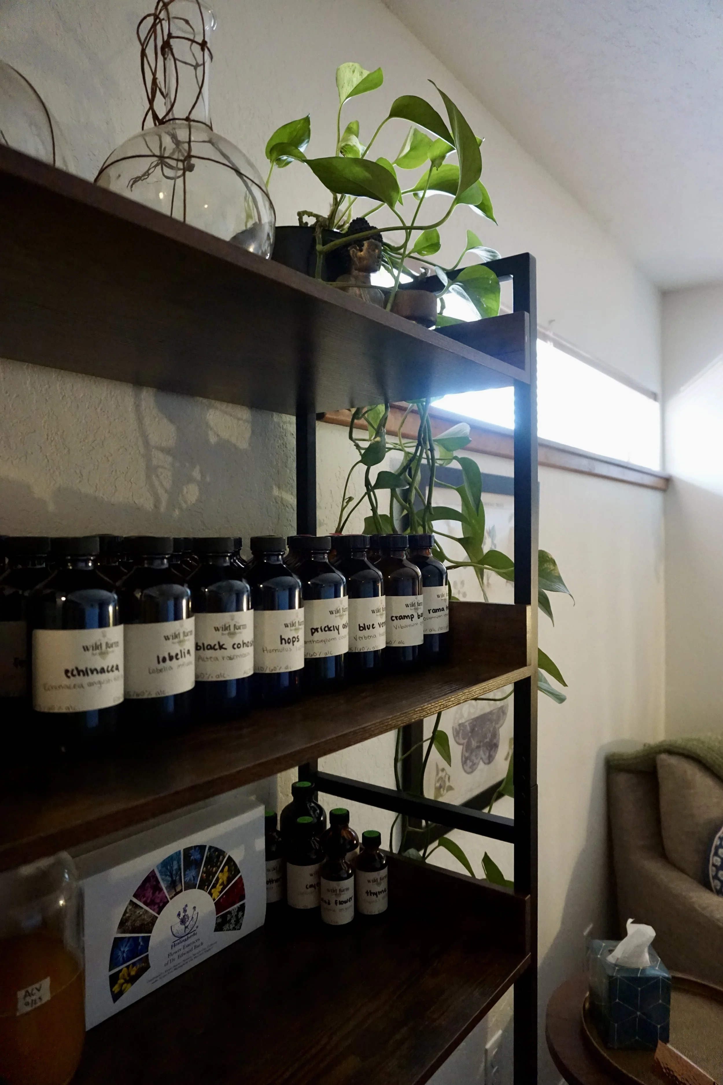 tinctures on the shelf at my office