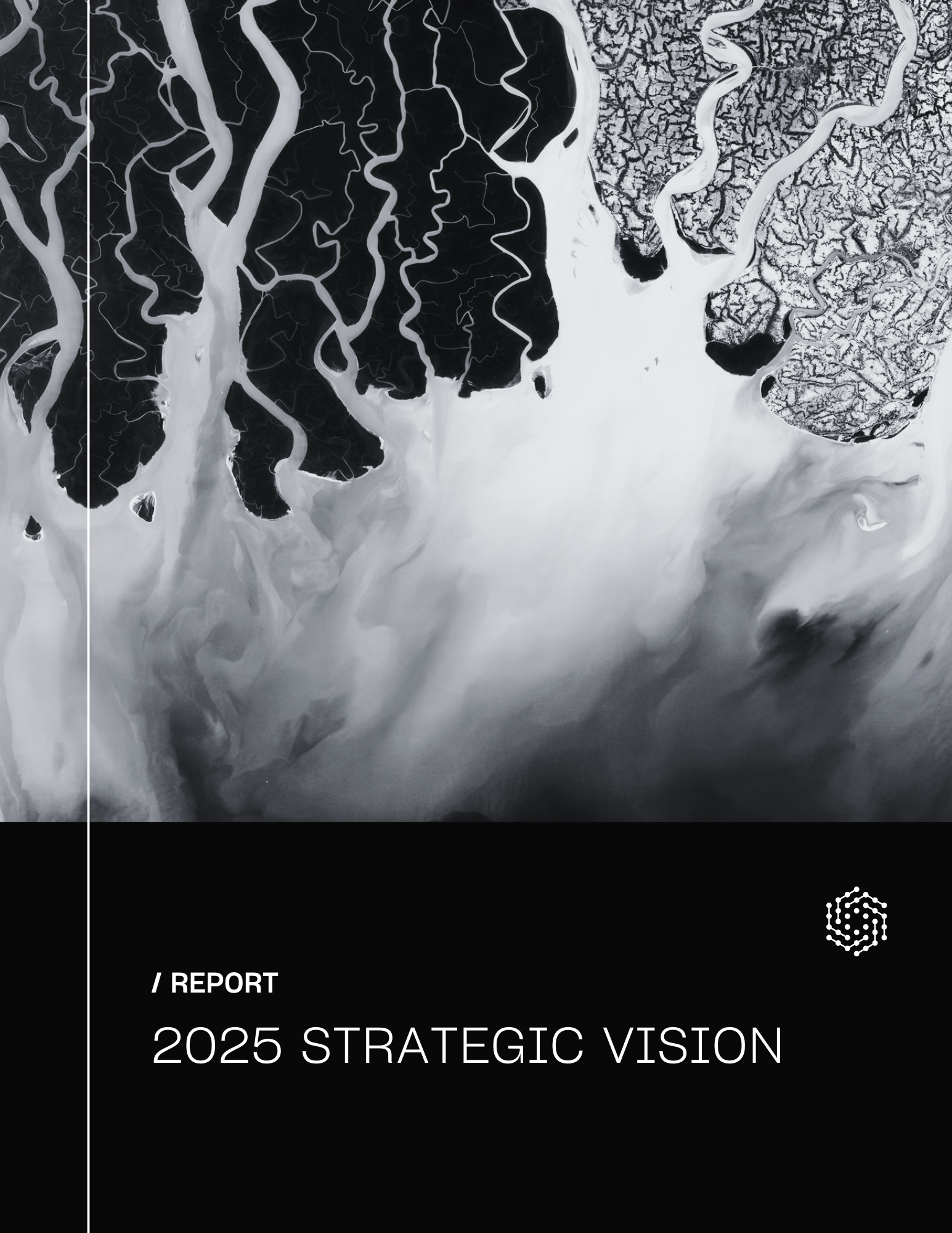 Black and white satellite image of a river delta with winding waterways and landmasses.