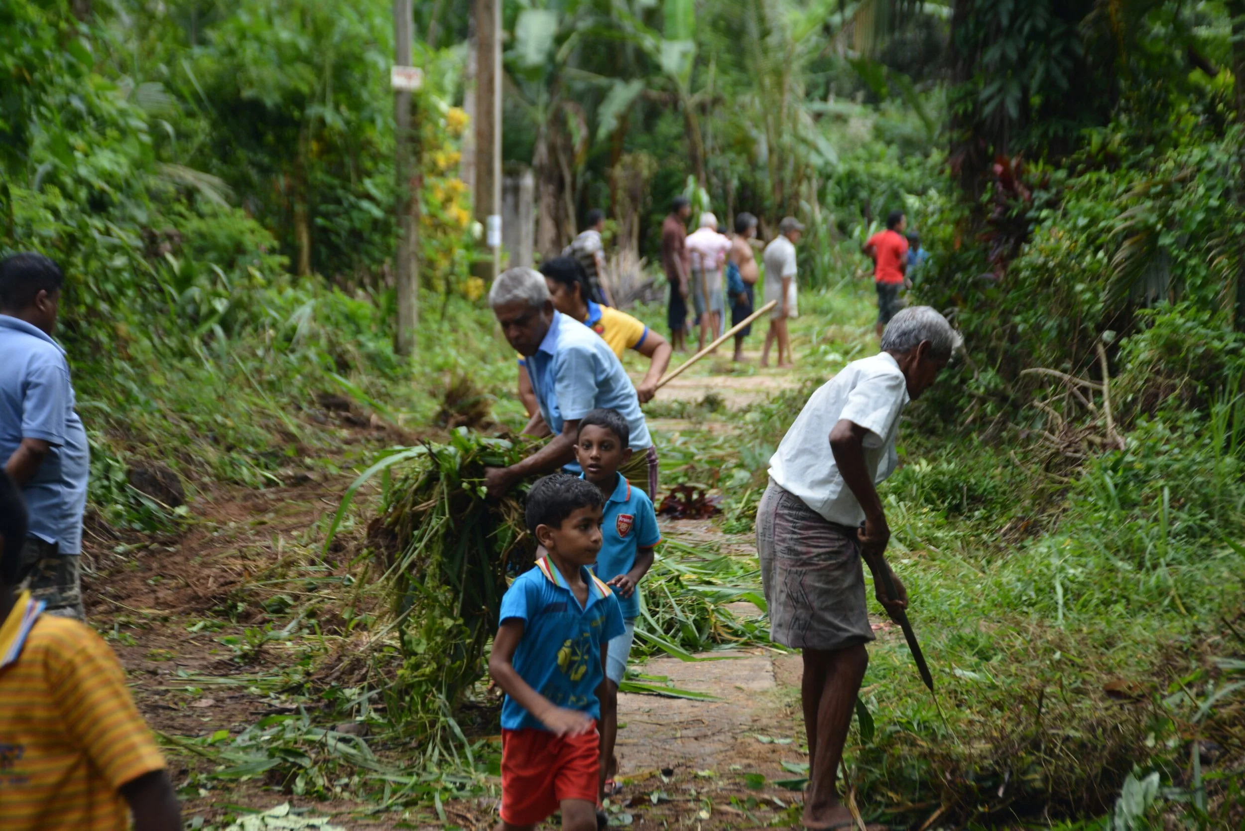 People clearing a pathway through a lush green forest, including children and adults working together with tools and branches.