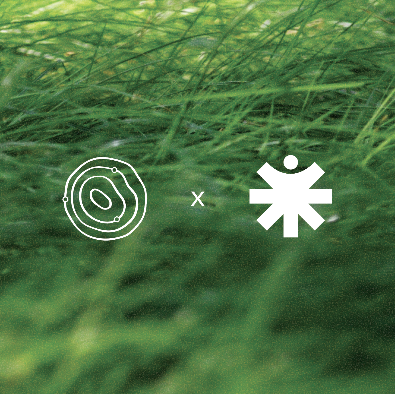 Green grass with white icons of a tree ring and a snowflake connected by an 'x' symbol.