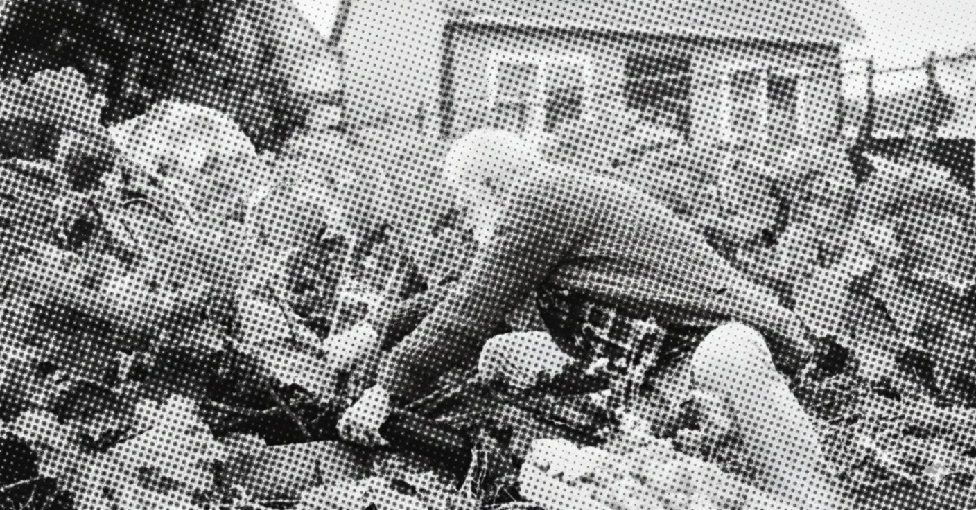 A person lying on a bed surrounded by cats in a room with pictures on the wall.