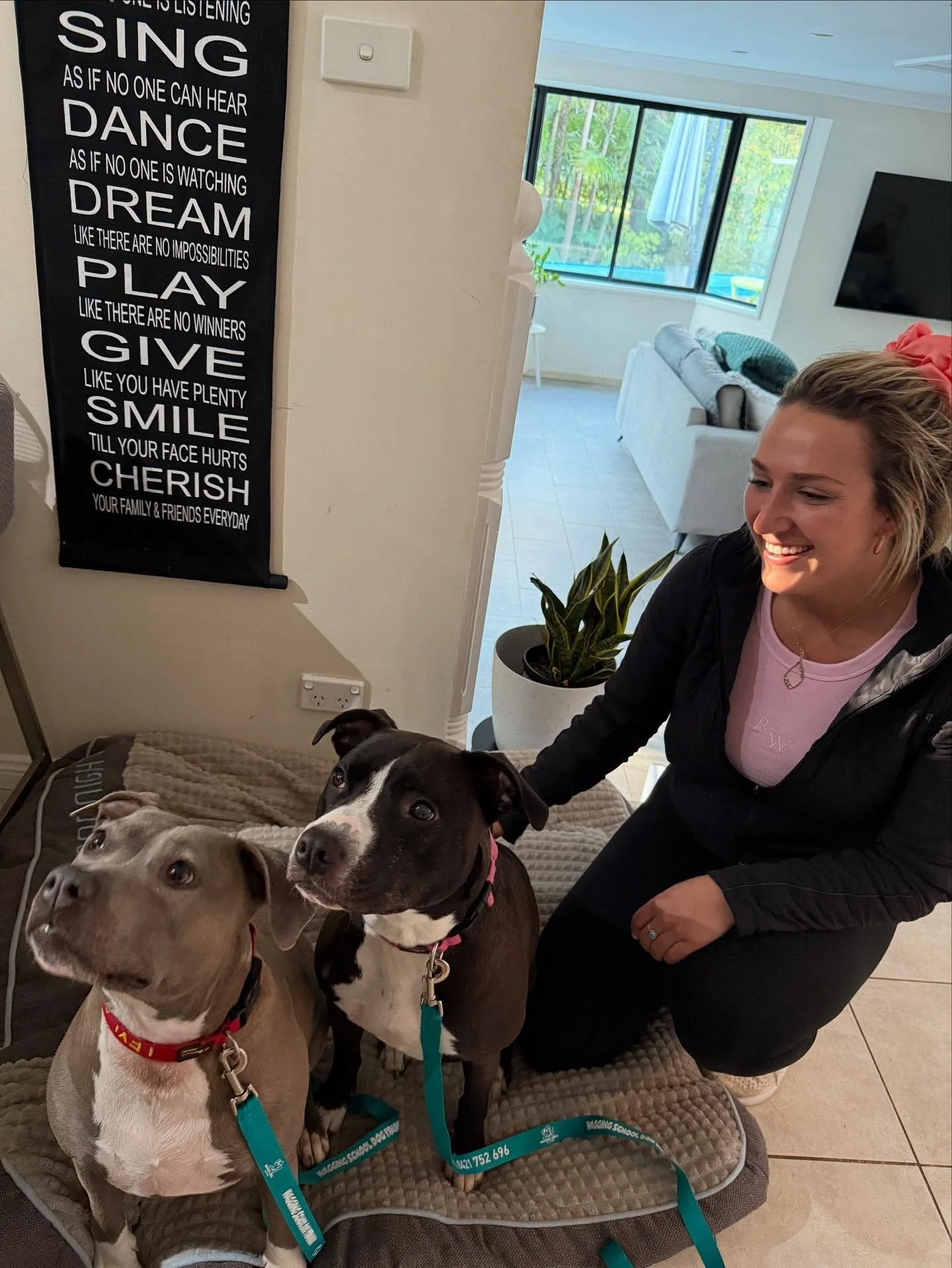 💡 Trainer Tip Tuesday 💡

Food isn&rsquo;t just fuel &mdash; it&rsquo;s currency.
Every time you reward your dog with a treat, you&rsquo;re making deposits into your &ldquo;engagement bank account.&rdquo;

✨ Want better focus? Pay more often.
✨ Want