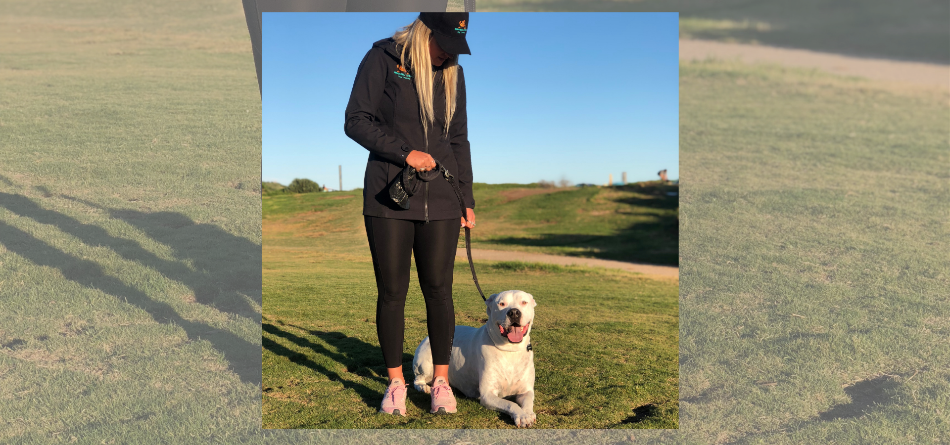 The Complete Guide to Puppy Training on Sydney's Northern Beaches