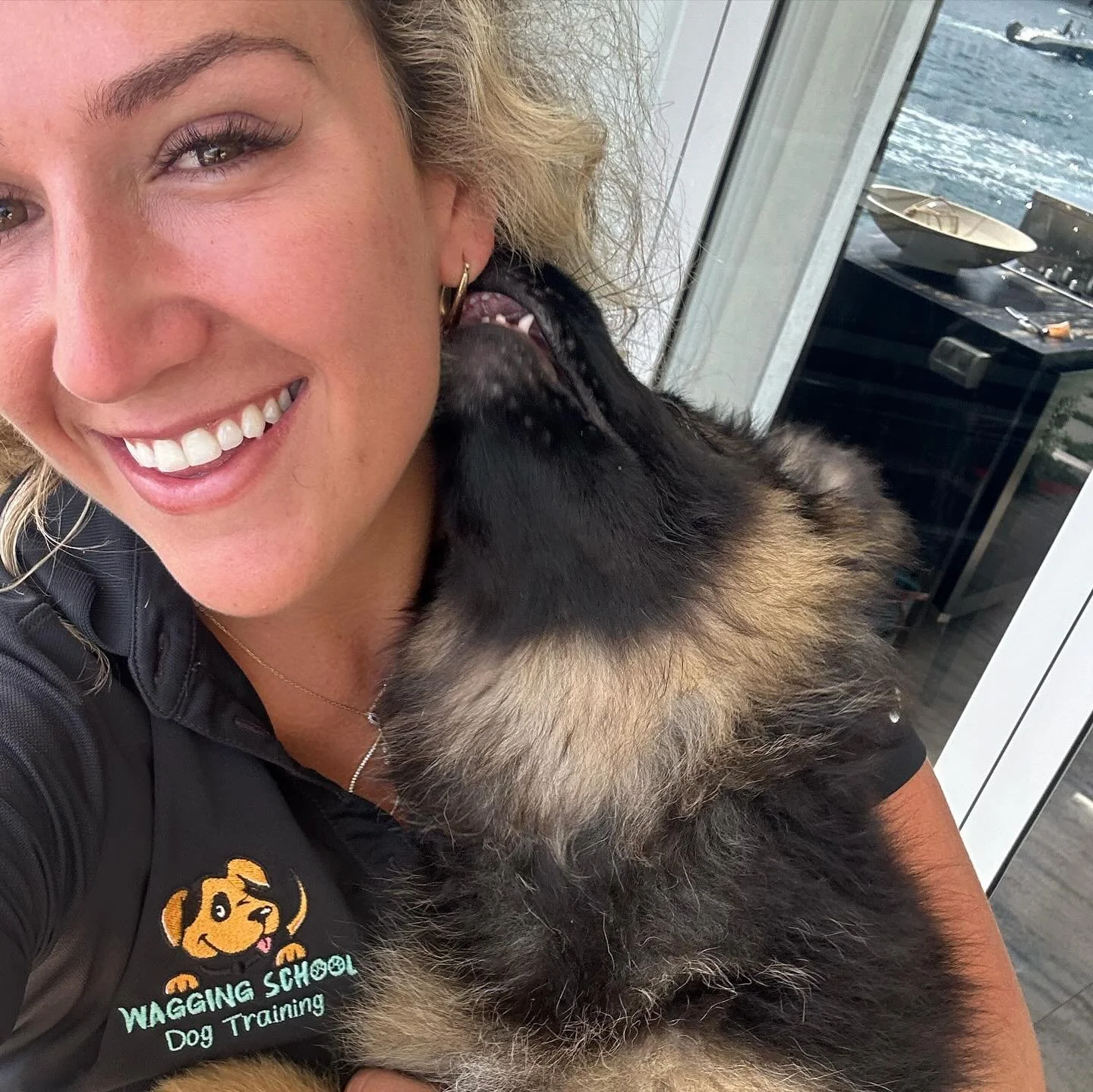 &ldquo;O Romeo, Romeo, wherefore art thou Romeo?&rdquo; Here he is 😍 #germanshepherdpuppy #gsd #dogtraining