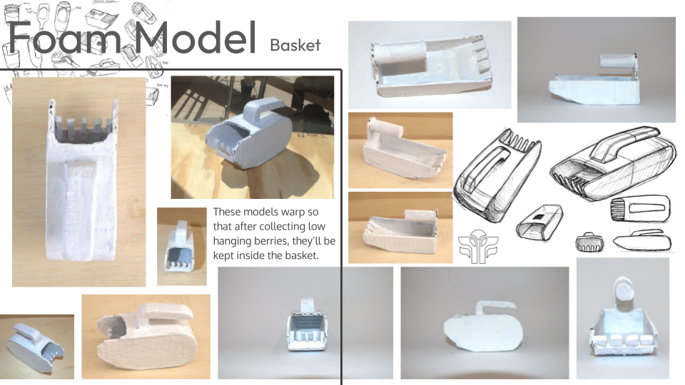 A collage of foam models and sketches of a basket for collecting low-hanging berries, showing different angles and design iterations.