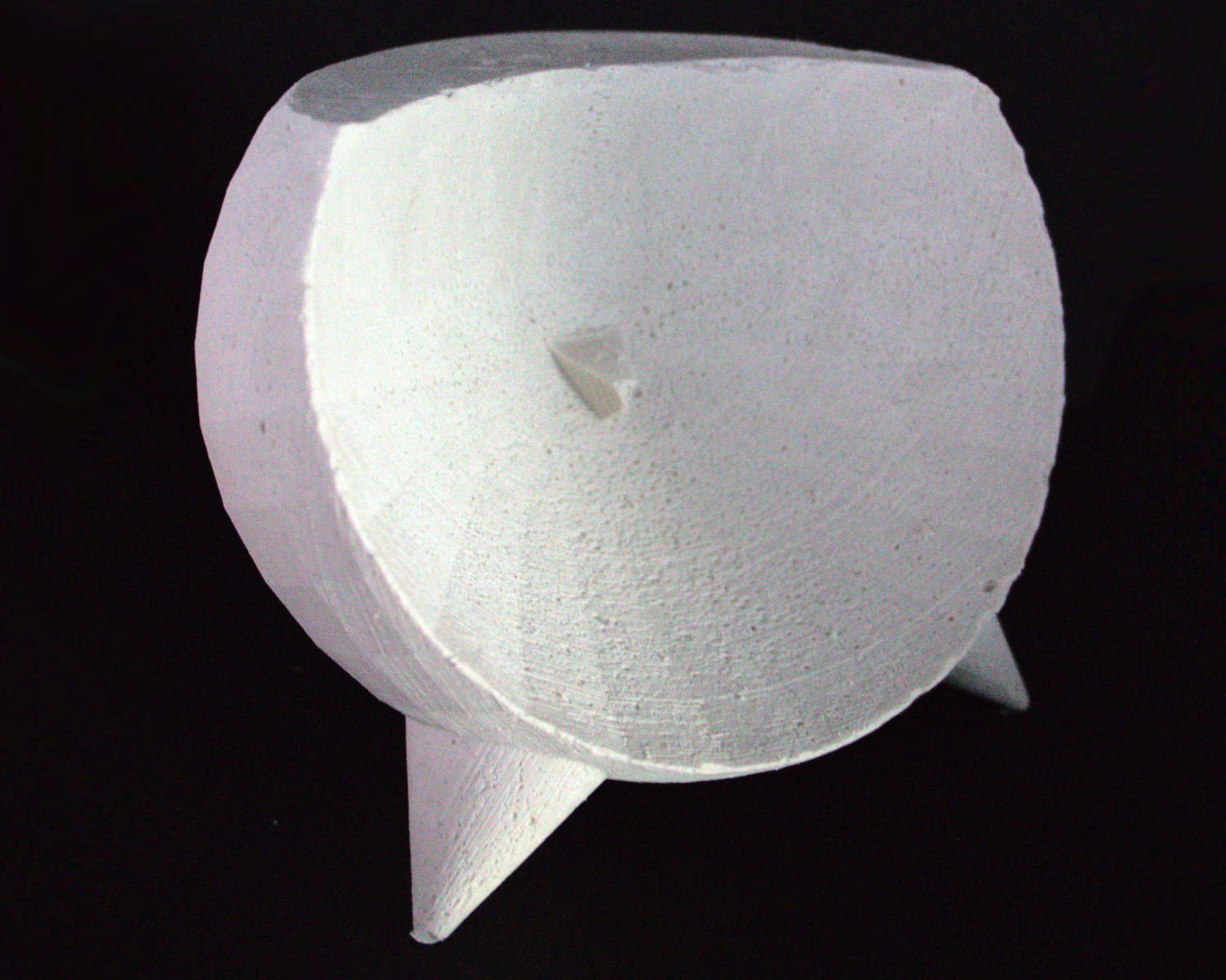 A small white wooden model of a whale with a rounded body, a dorsal fin, and a tail fin, set against a black background.