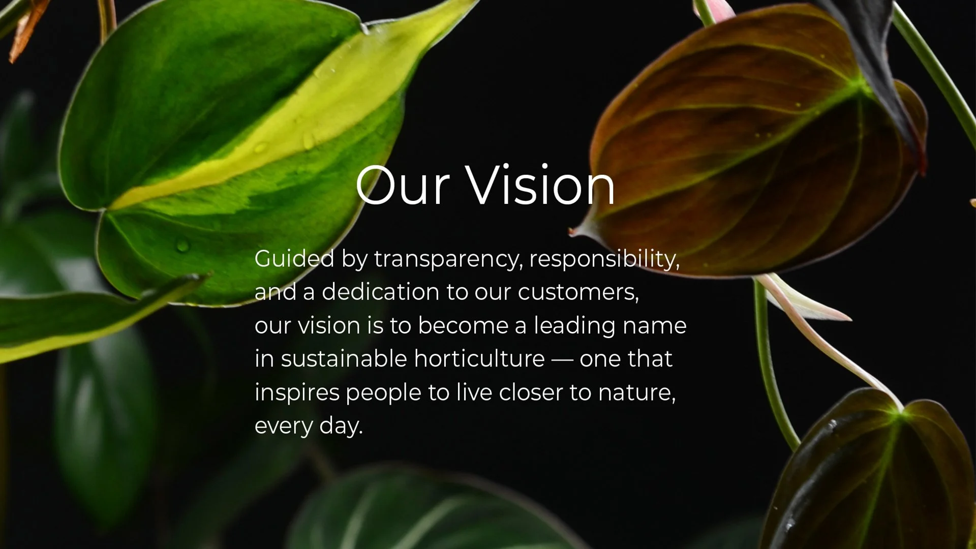 Kuvassa vihreitä ja ruskeita lehtiä, teksti 'Our Vision - Guided by transparency, responsibility, and a dedication to our customers, our vision is to become a leading name in sustainable horticulture — one that inspires people to live closer to nature, every day.'