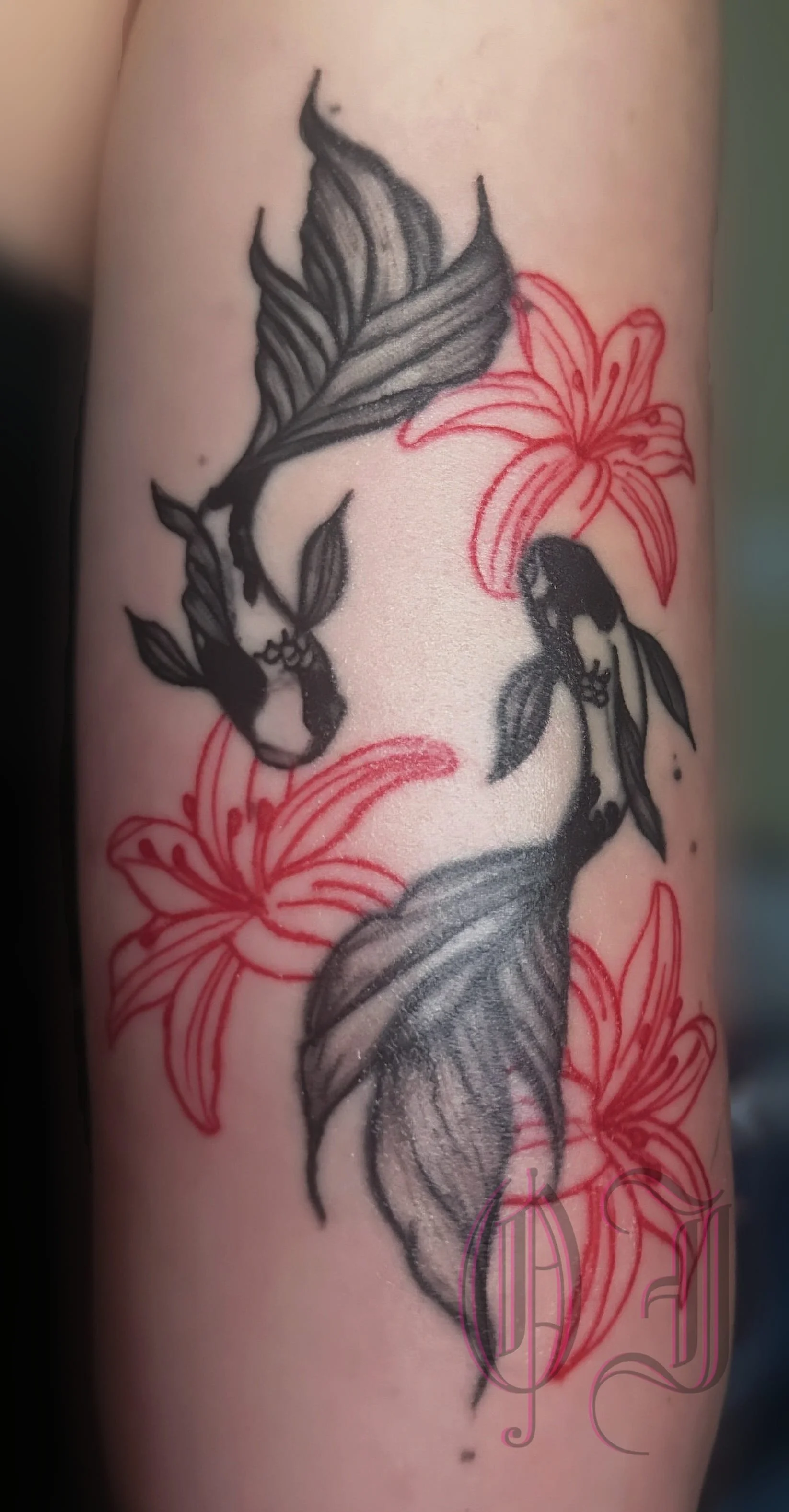AirBrush_20260308203016_qpxffm_d0a14c.jpg