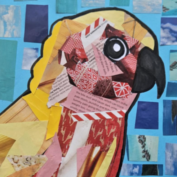 Tropical Rainforest Art Session (Ages 7-13) | 16th April