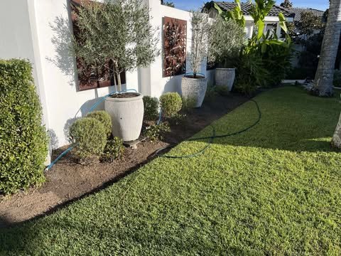 A landscaped garden area with potted trees, trimmed bushes, and a well-maintained lawn.