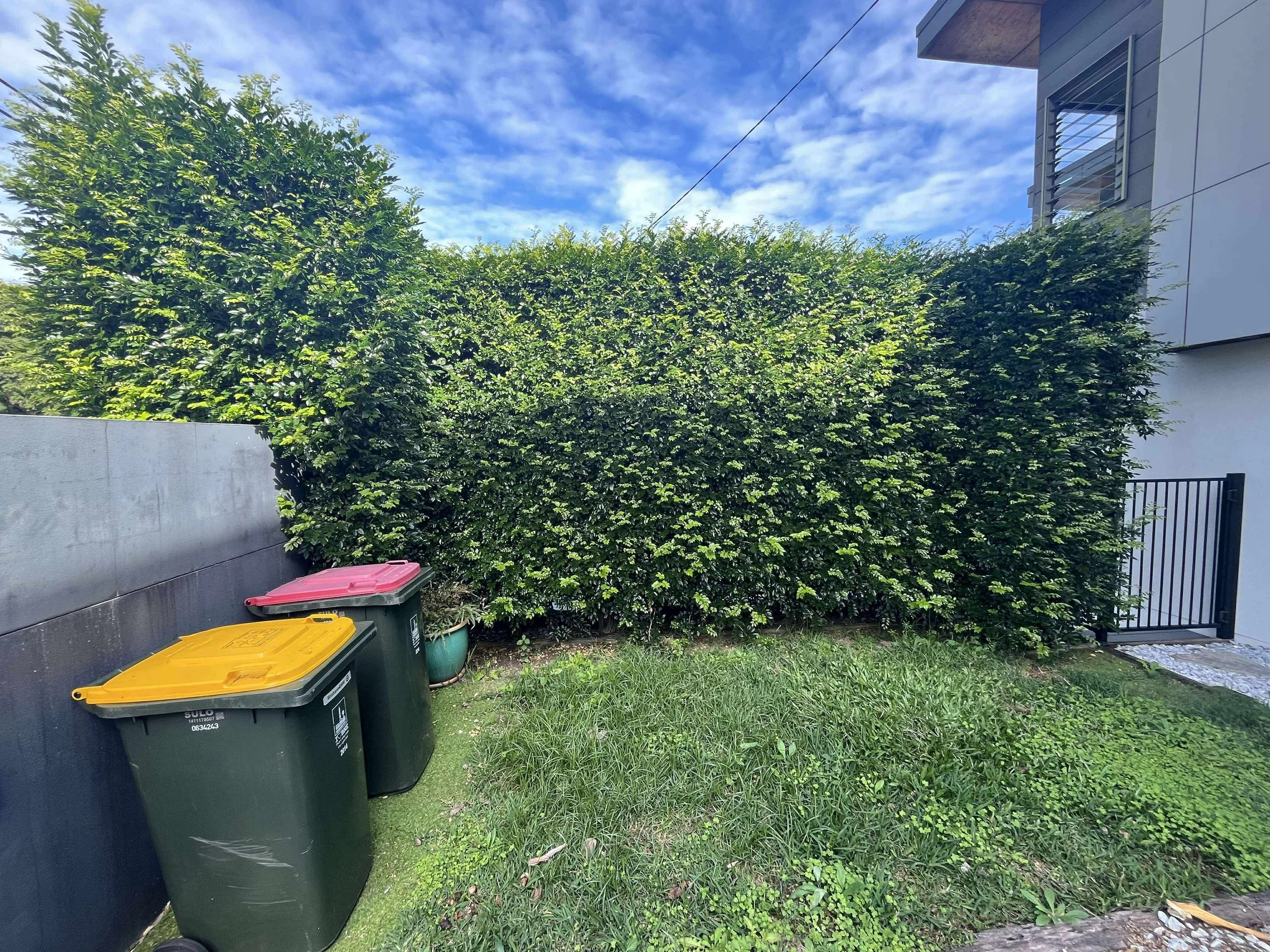 A small outdoor space with three trash bins, a tall green hedge, a modern building with a gate, and a blue sky with clouds.