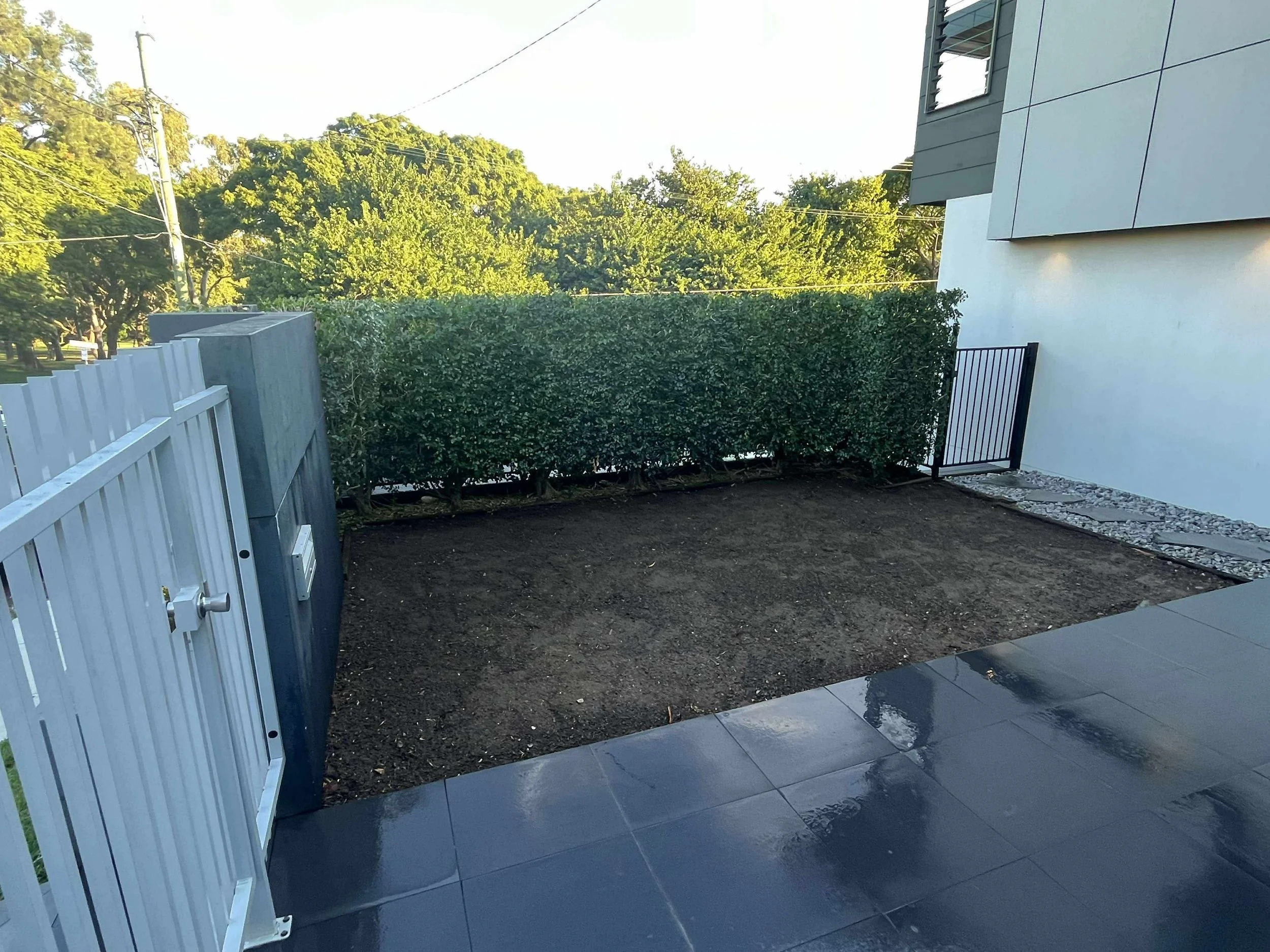 Empty backyard with freshly tilled soil, surrounded by a green hedge, black metal gate, and modern house wall, with a paved patio in the foreground.