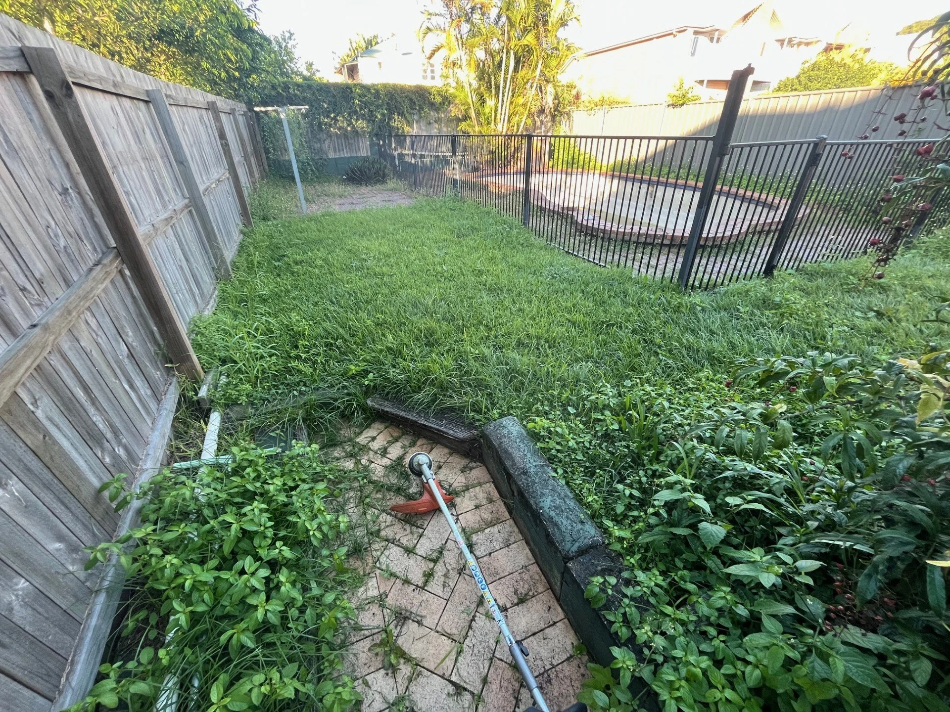 Backyard with a brick patio, overgrown grass, a wooden fence on the left, a black metal fence surrounding a pool, and a garden hose on the patio.