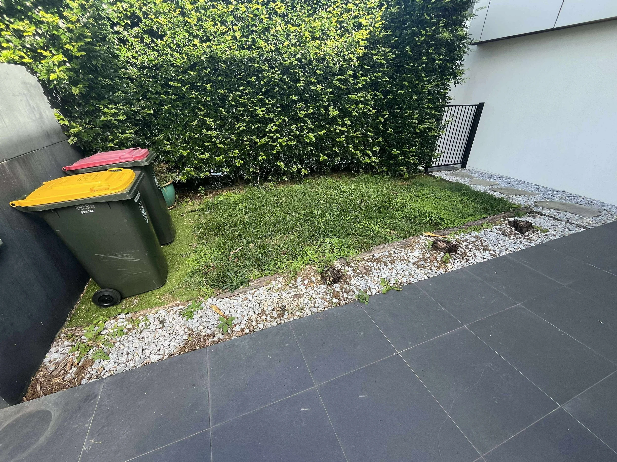 A small garden area with grass, overgrown plants, and a large bush, surrounded by slate tiles and a black metal gate on the right, with two trash bins (yellow and pink lids) on the left.
