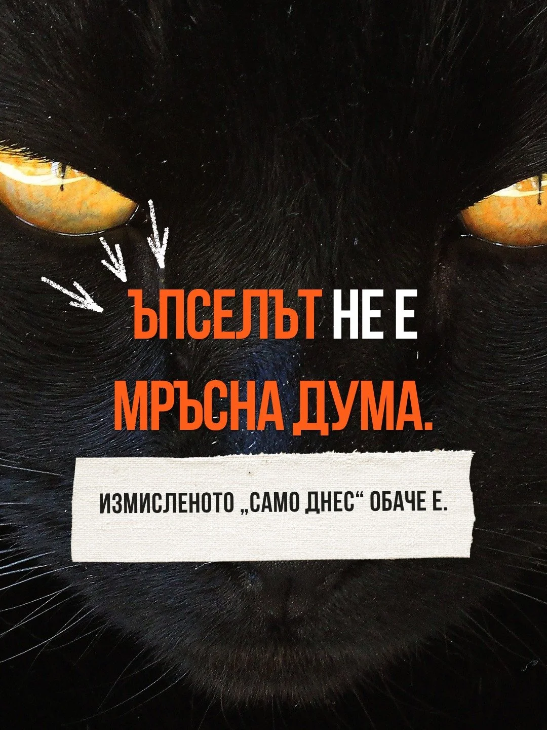 Вчера сама се хванах как наричам един съвсем нормален ъпсел &bdquo;изкуствена спешност&ldquo;, защото надписът &bdquo;само тук и сега&ldquo; беше по-голям от &bdquo;не, благодаря". После се замислих и се поправих, защото да ти предложат нещо свъ