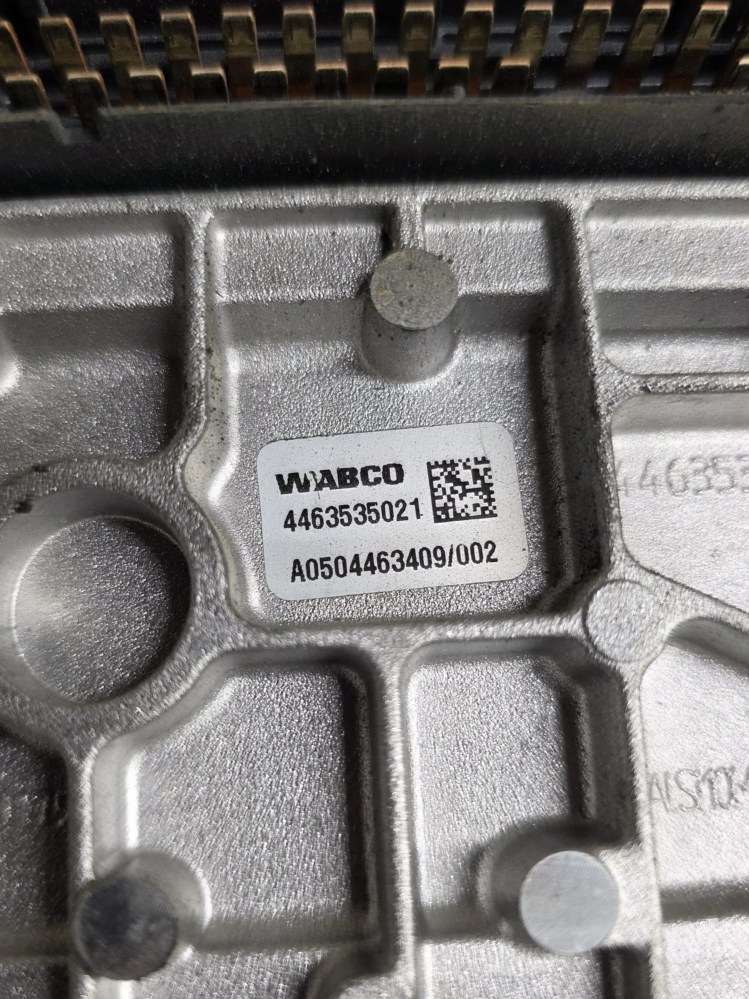 7195.jpg
