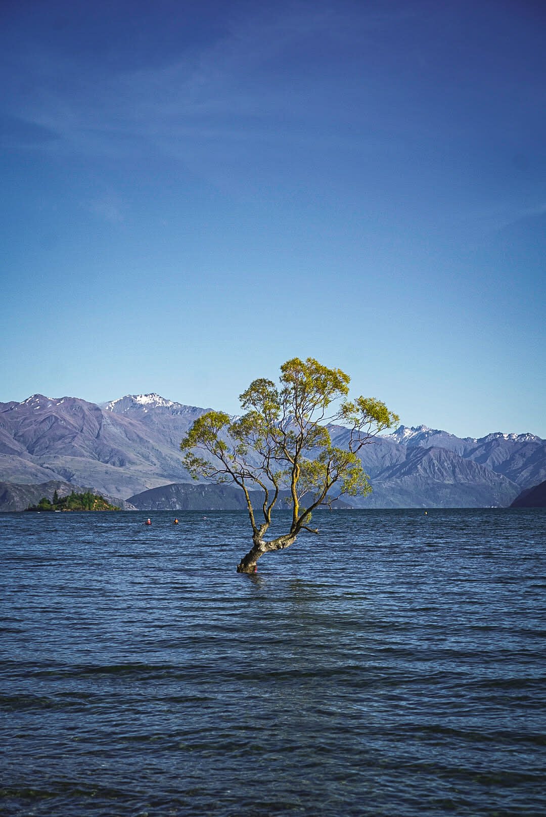 117a0604-8755-422a-81e2-a3d2086f1bff (1).jpg