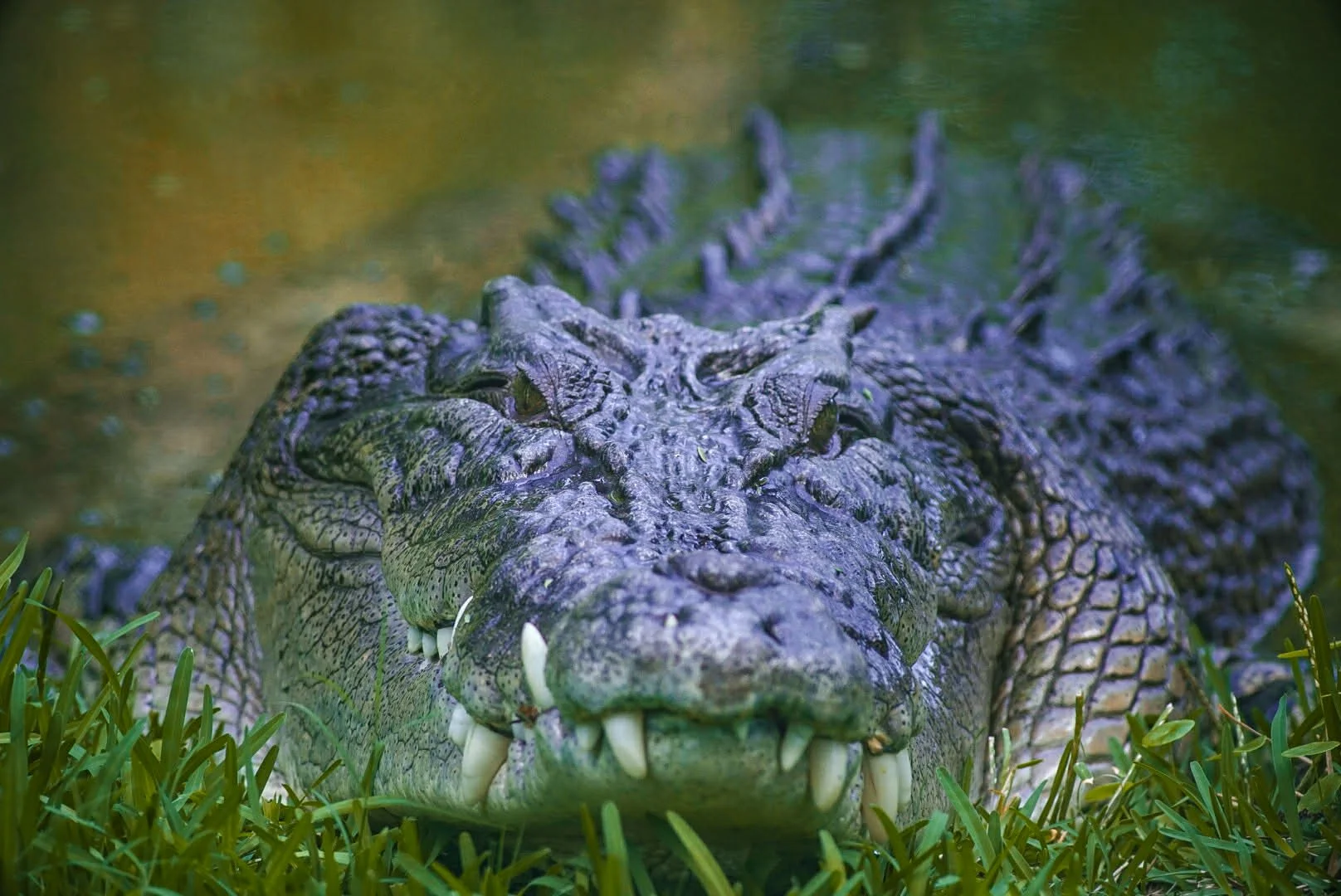 1dfb0e43-bb79-4e19-89da-d54370876867 (1).jpg