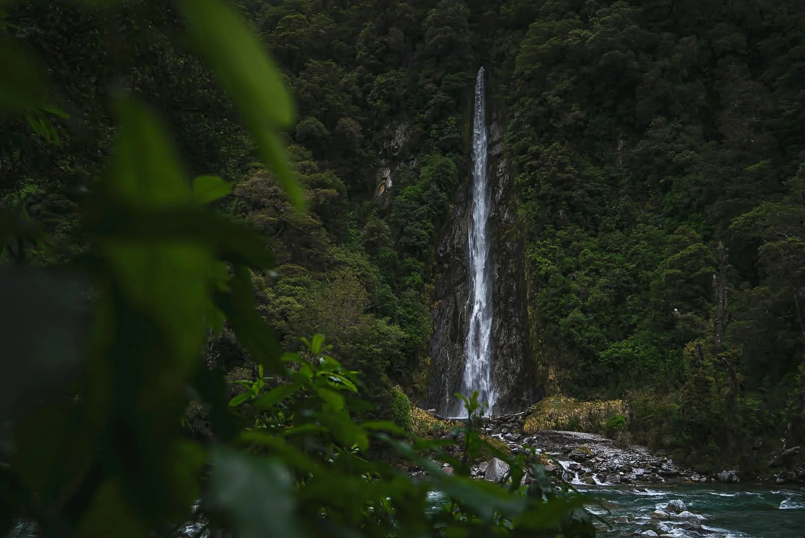 87760286-7f28-4020-8790-53aa33d18bcd (1).jpg